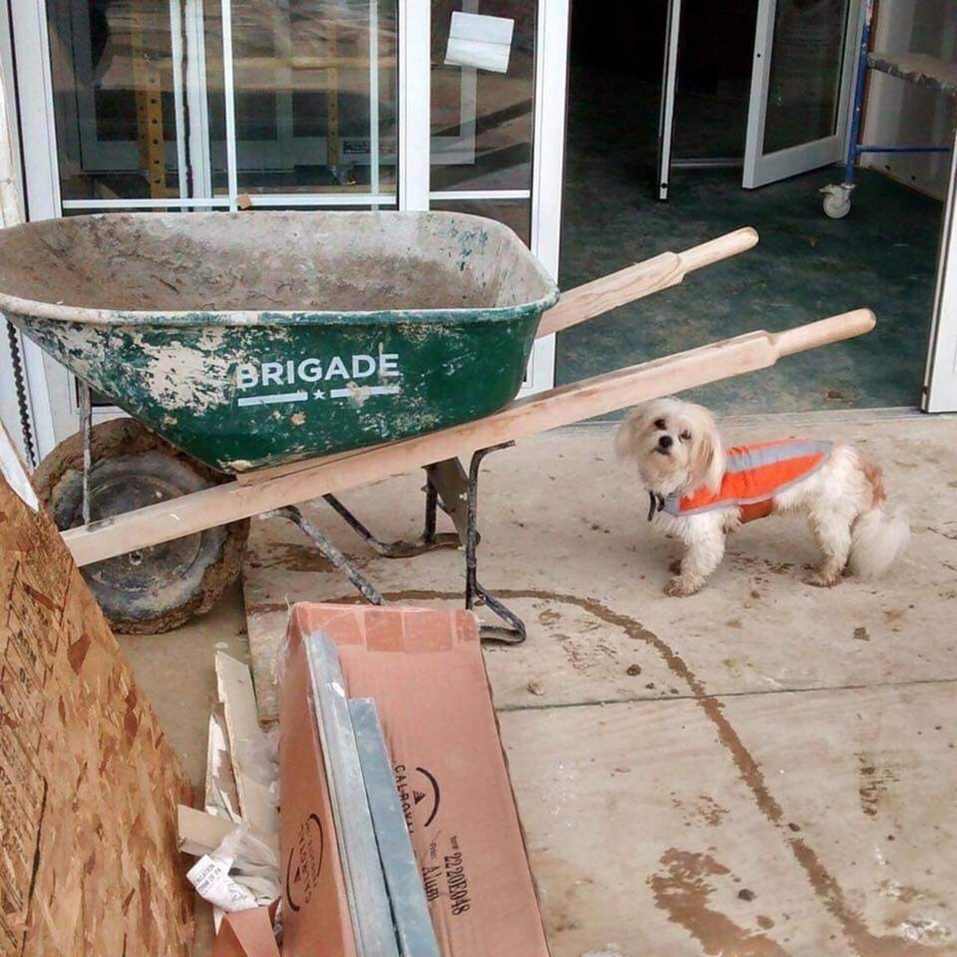 gray computer monitor