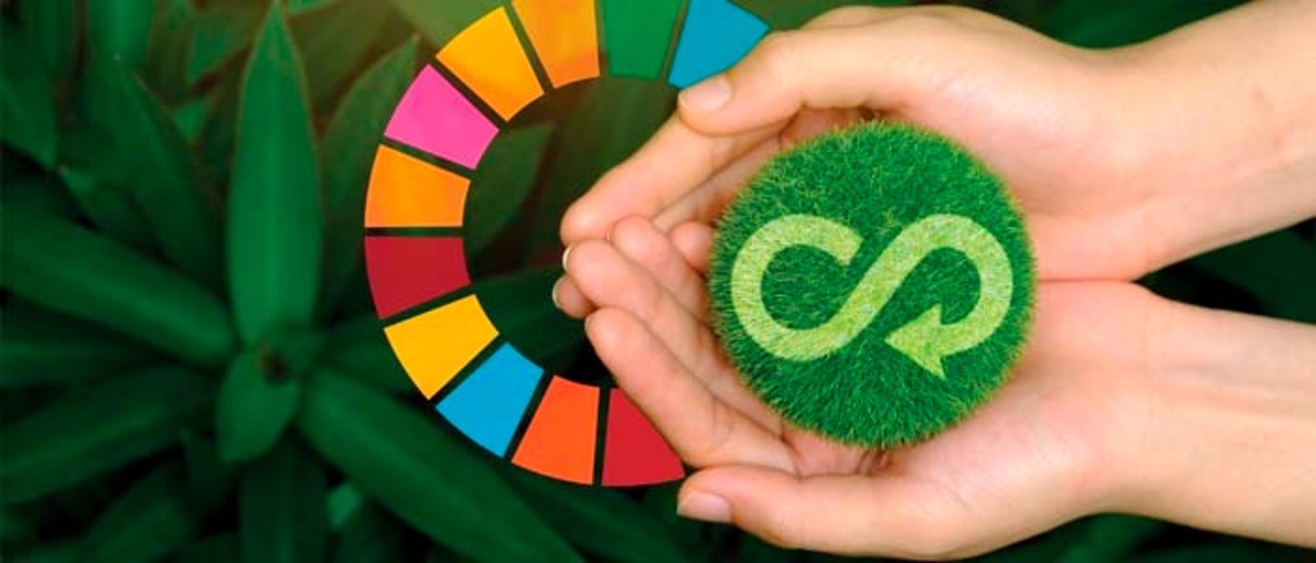 gray computer monitor