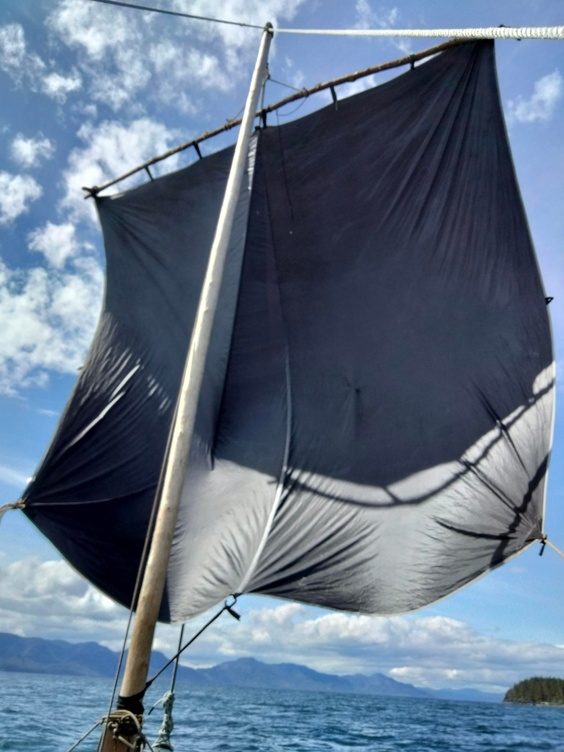a close up of a black and brown abstract painting