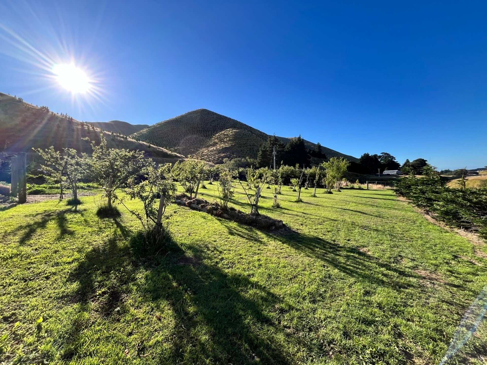 mountain range under blue sky