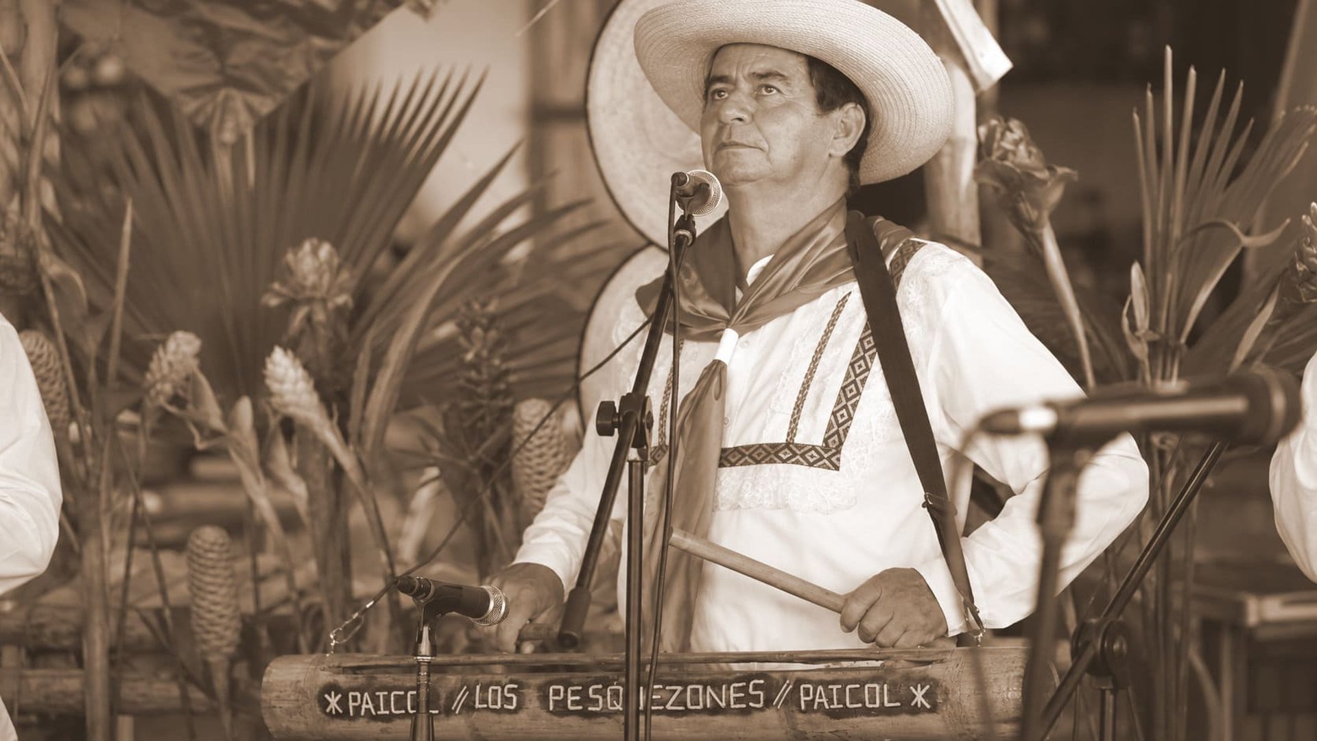 Los pescuezones de paicol Bambuhuila