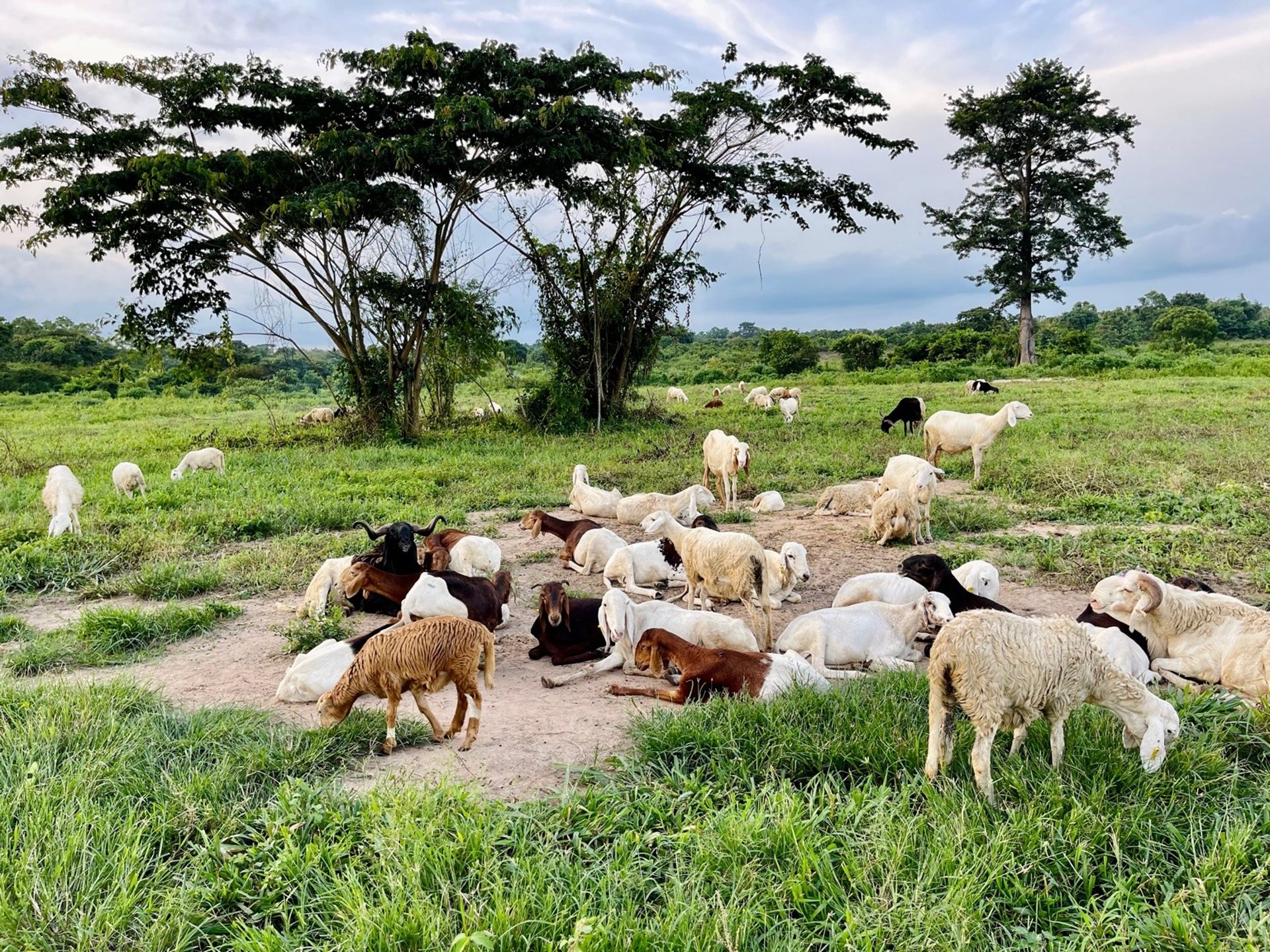 gray computer monitor