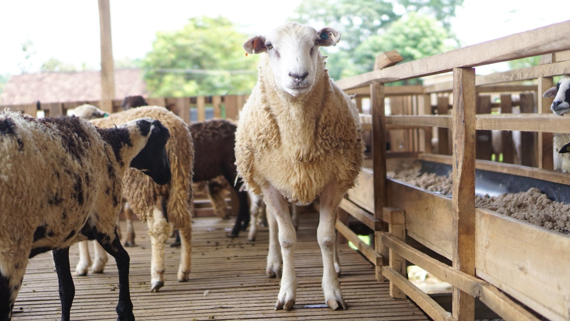 black blue and yellow textile