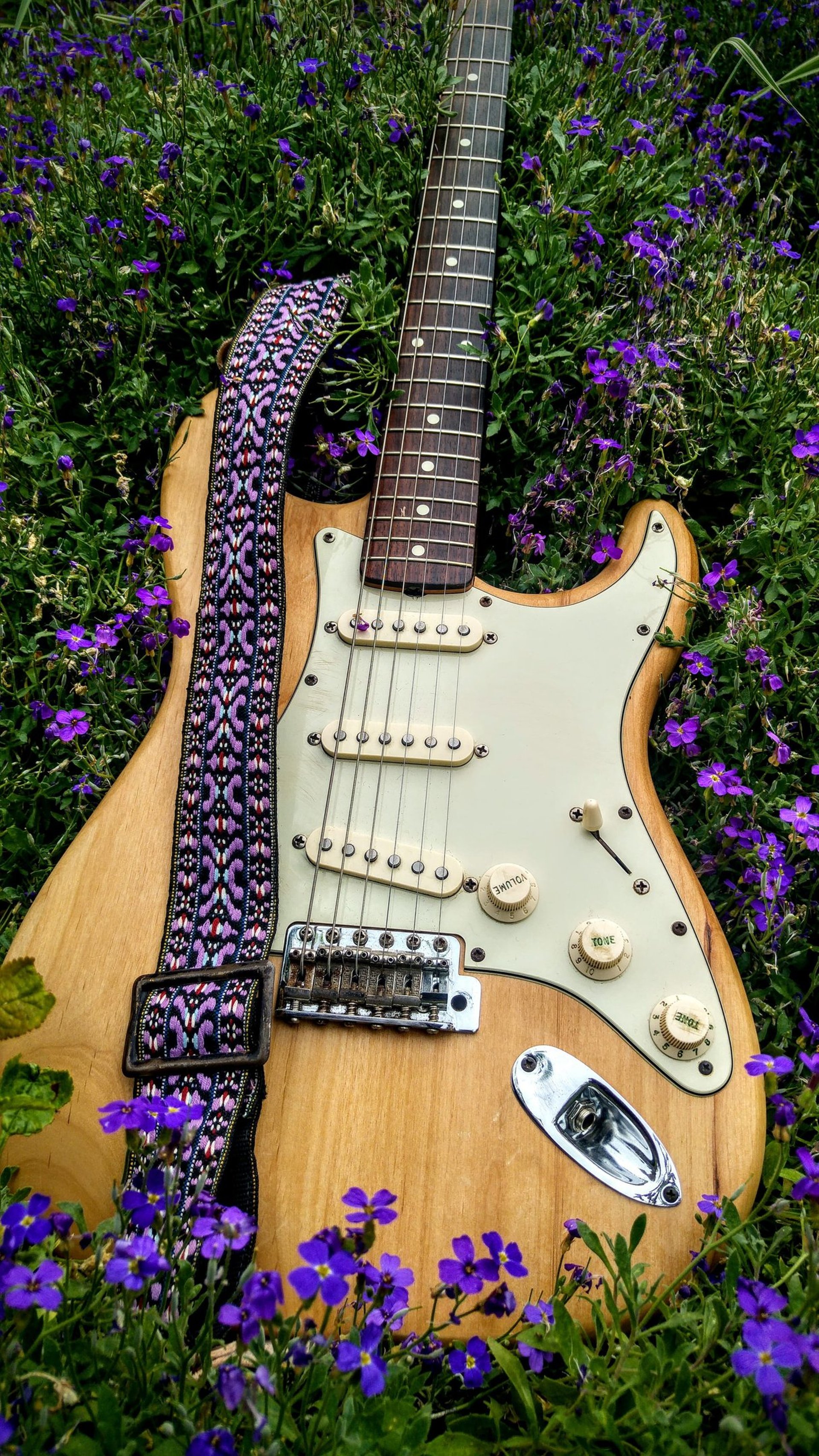 woman holding dried flower