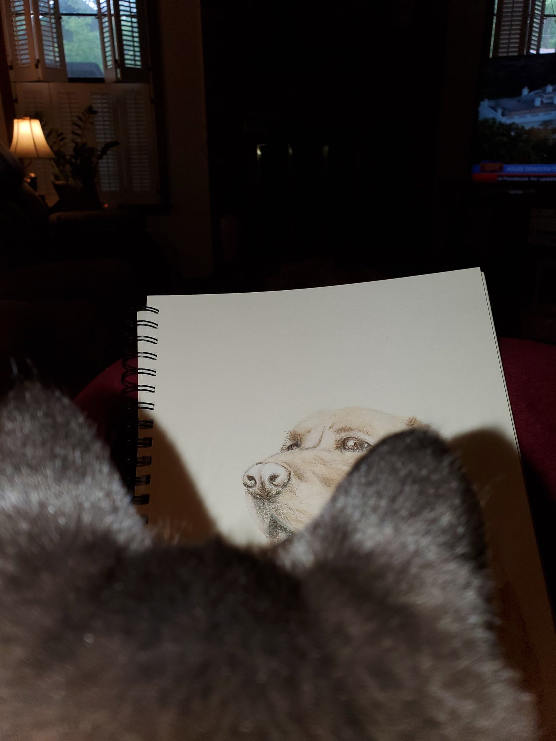 gray computer monitor