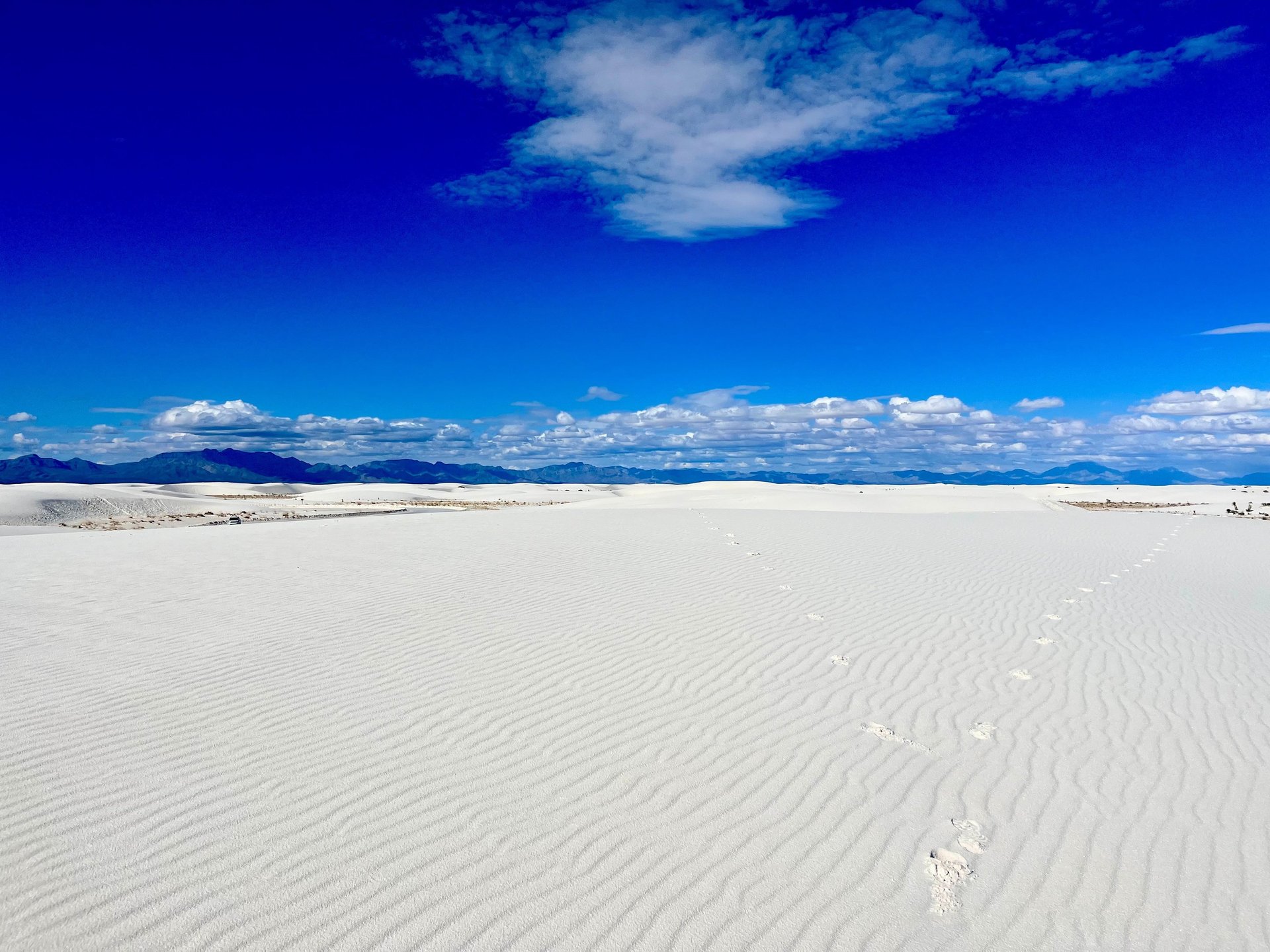 gray computer monitor