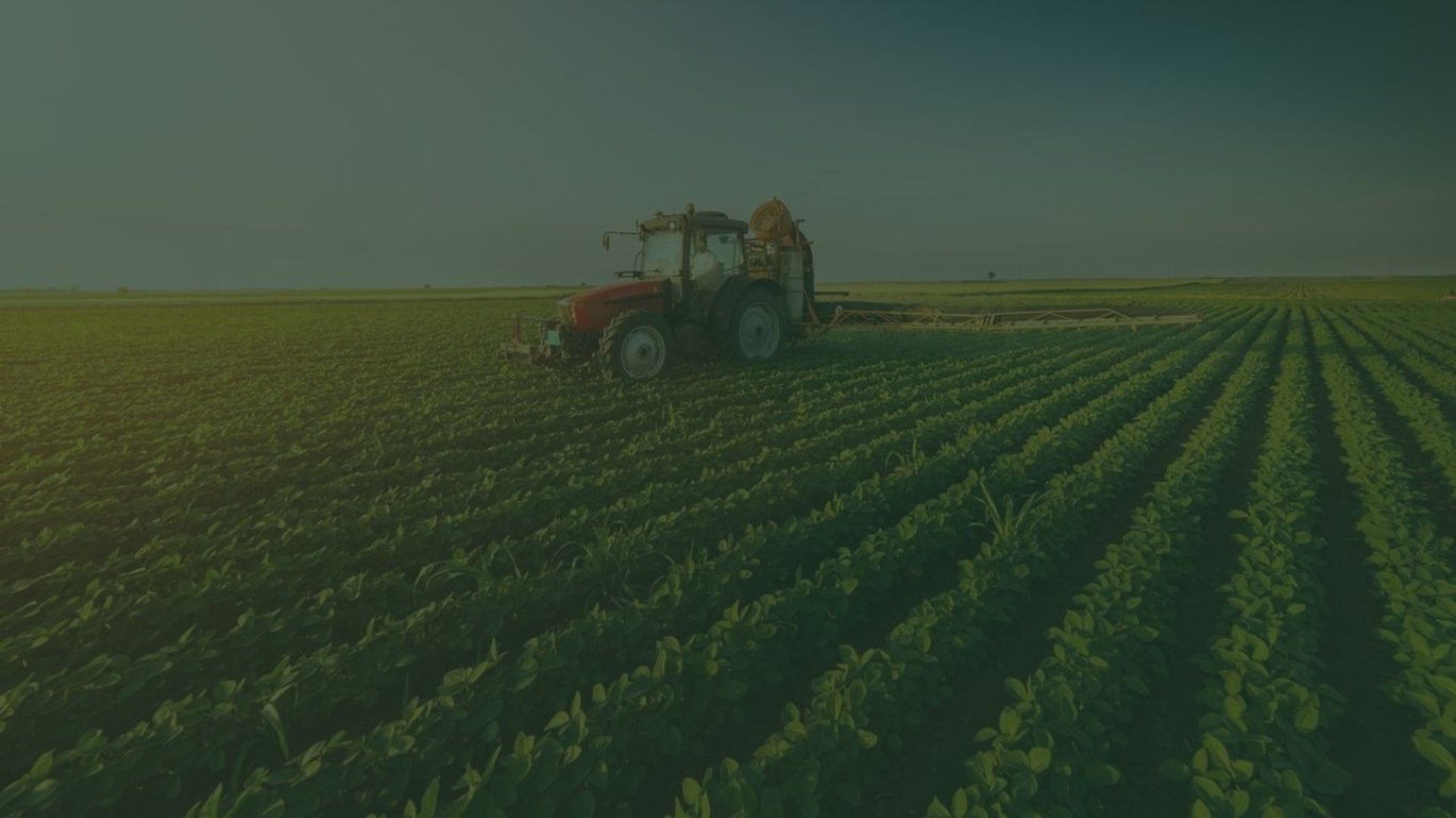 alt="Advogada especialista em direito rural e crédito rural para produtores rurais em todo o Brasil