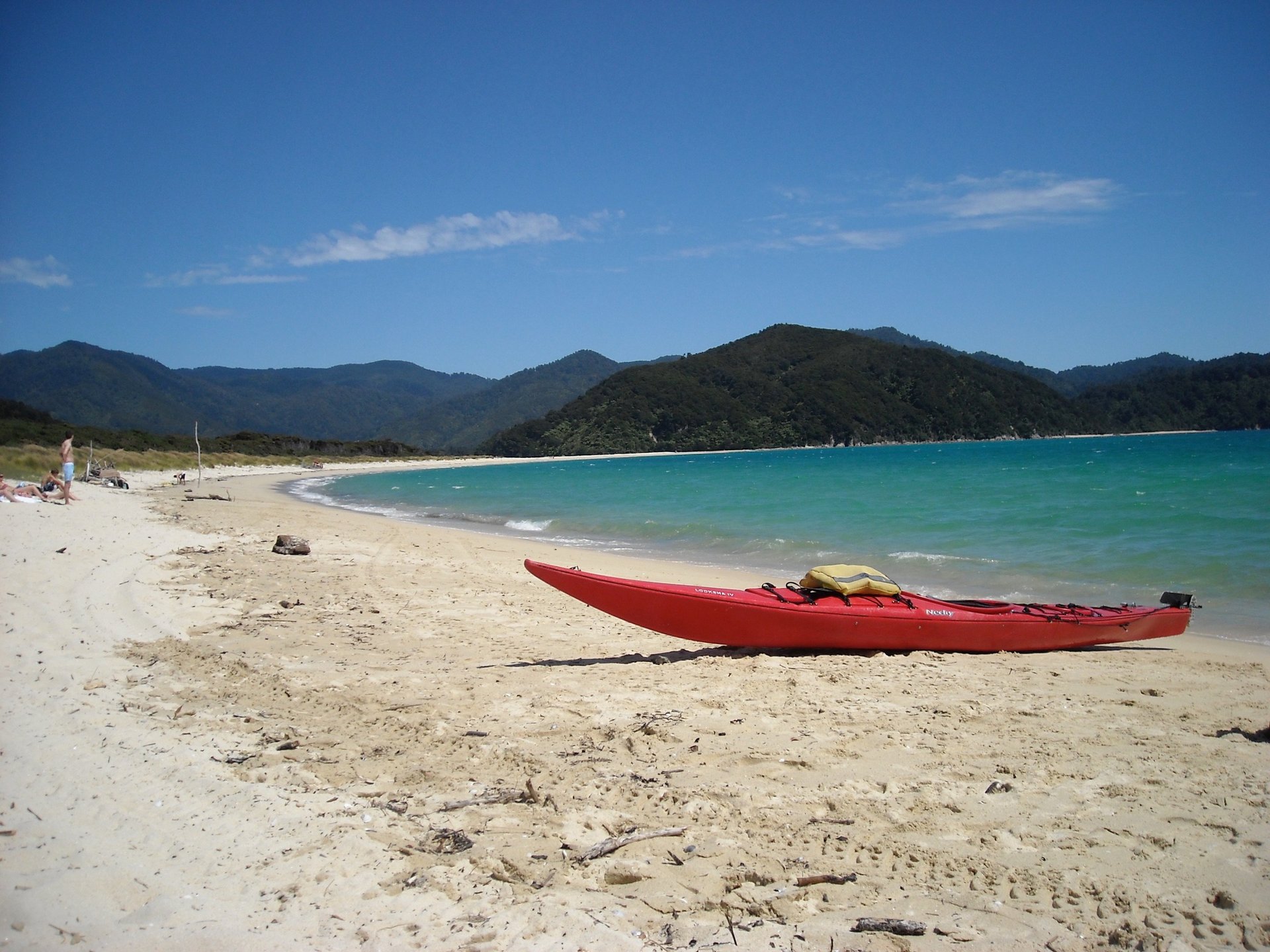 pink petaled flower on bottle