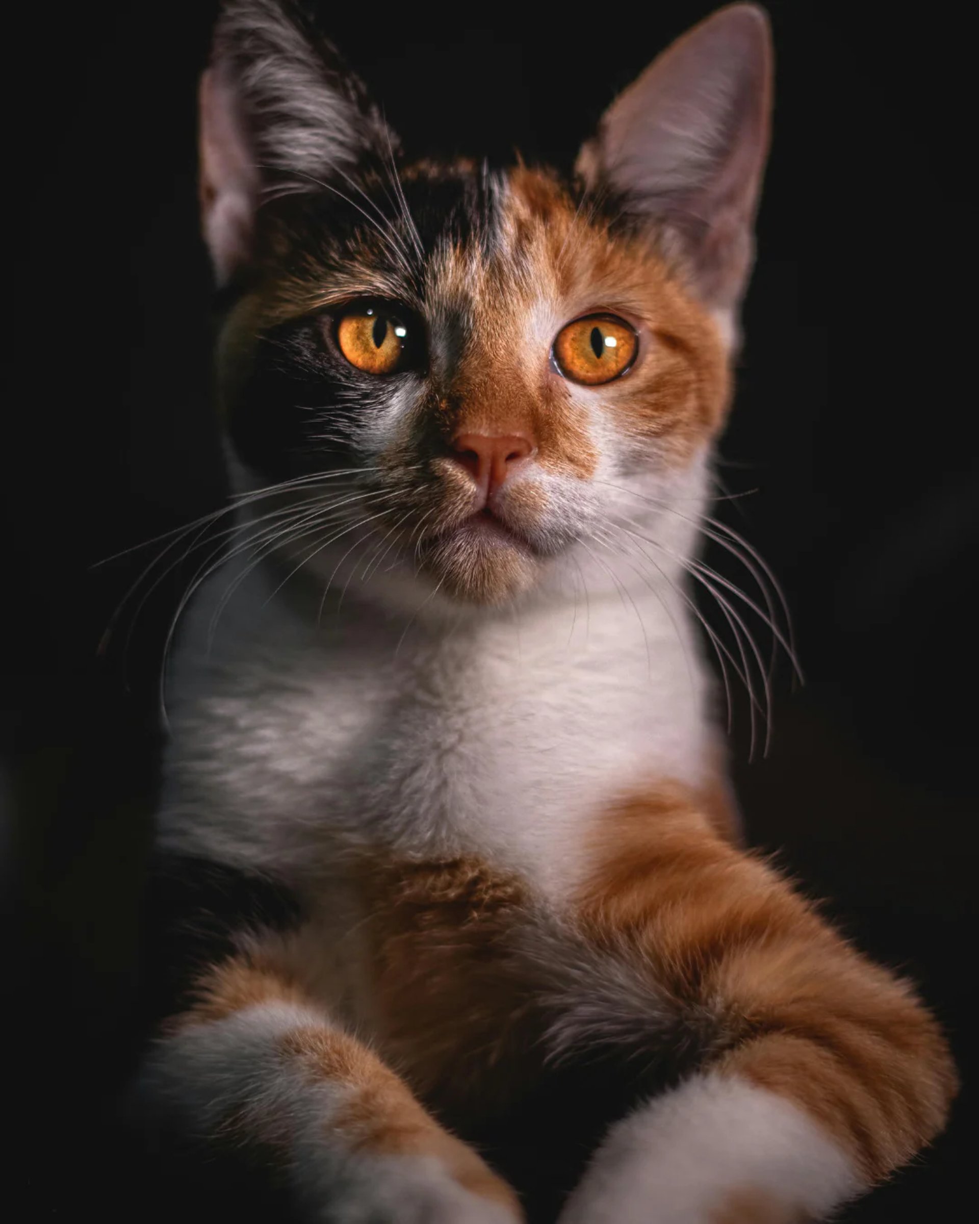 mountain range under blue sky