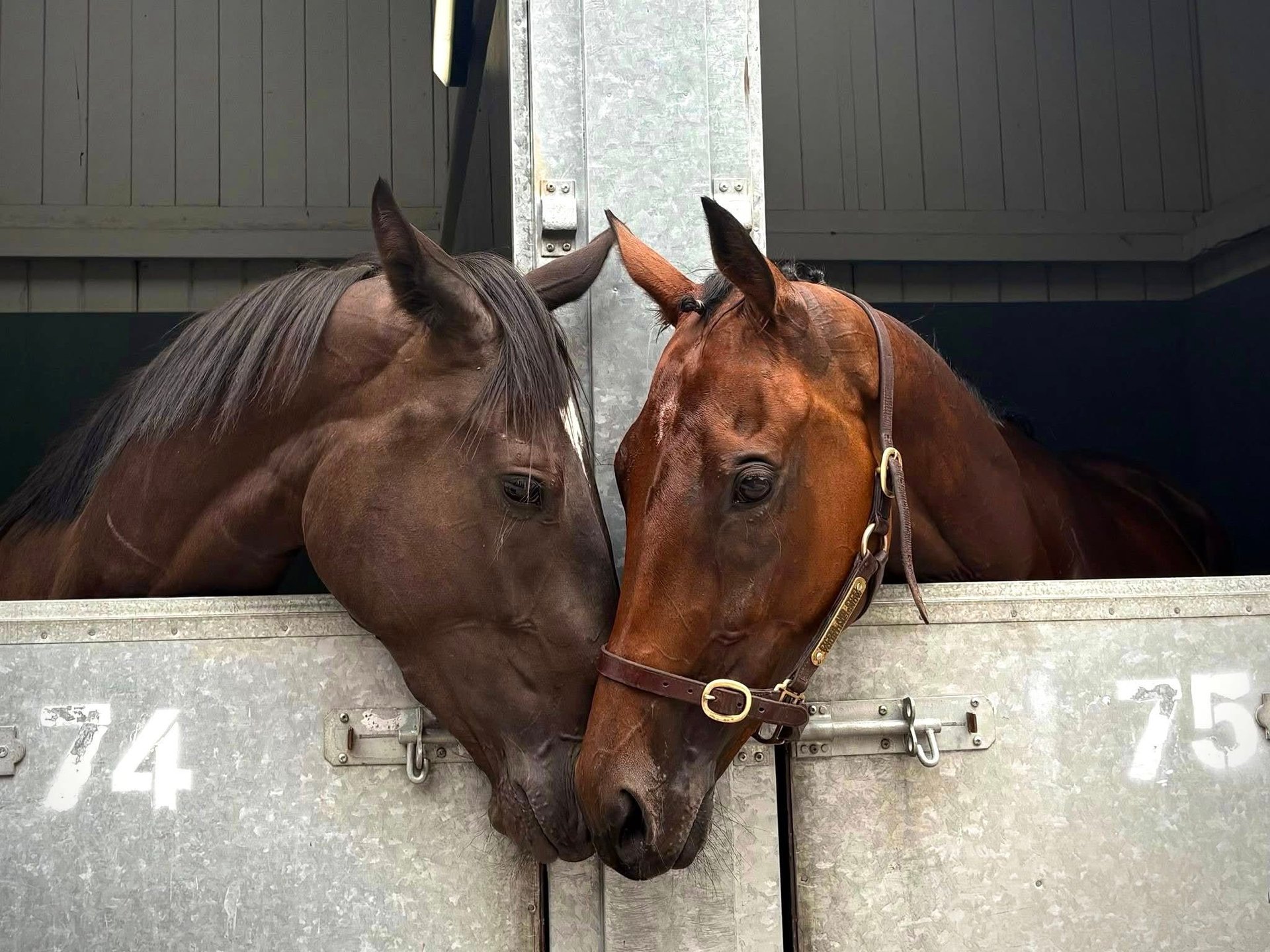 an abstract photo of a curved building with a blue sky in the background