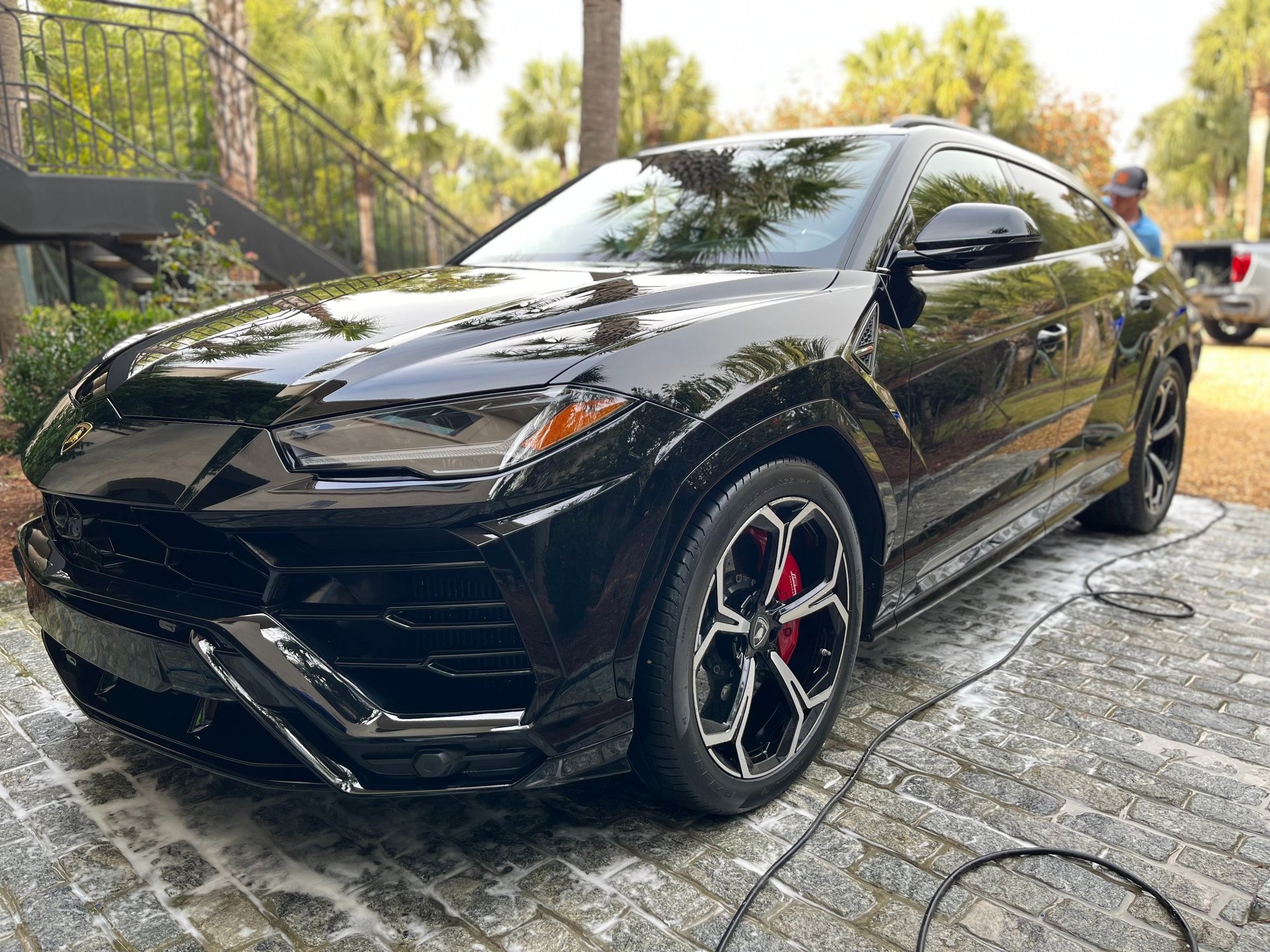 black and white bed linen