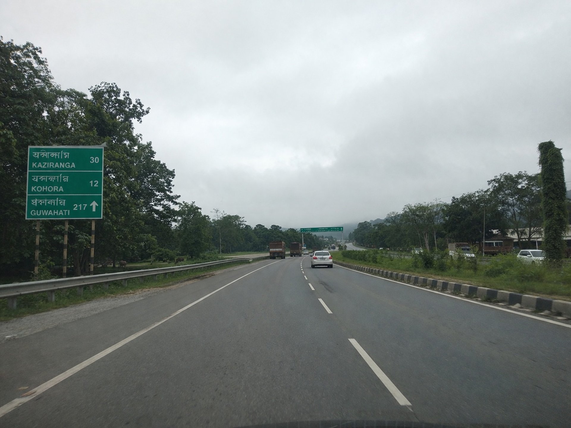 Cars driving on a highway with trees and cloudy sky.