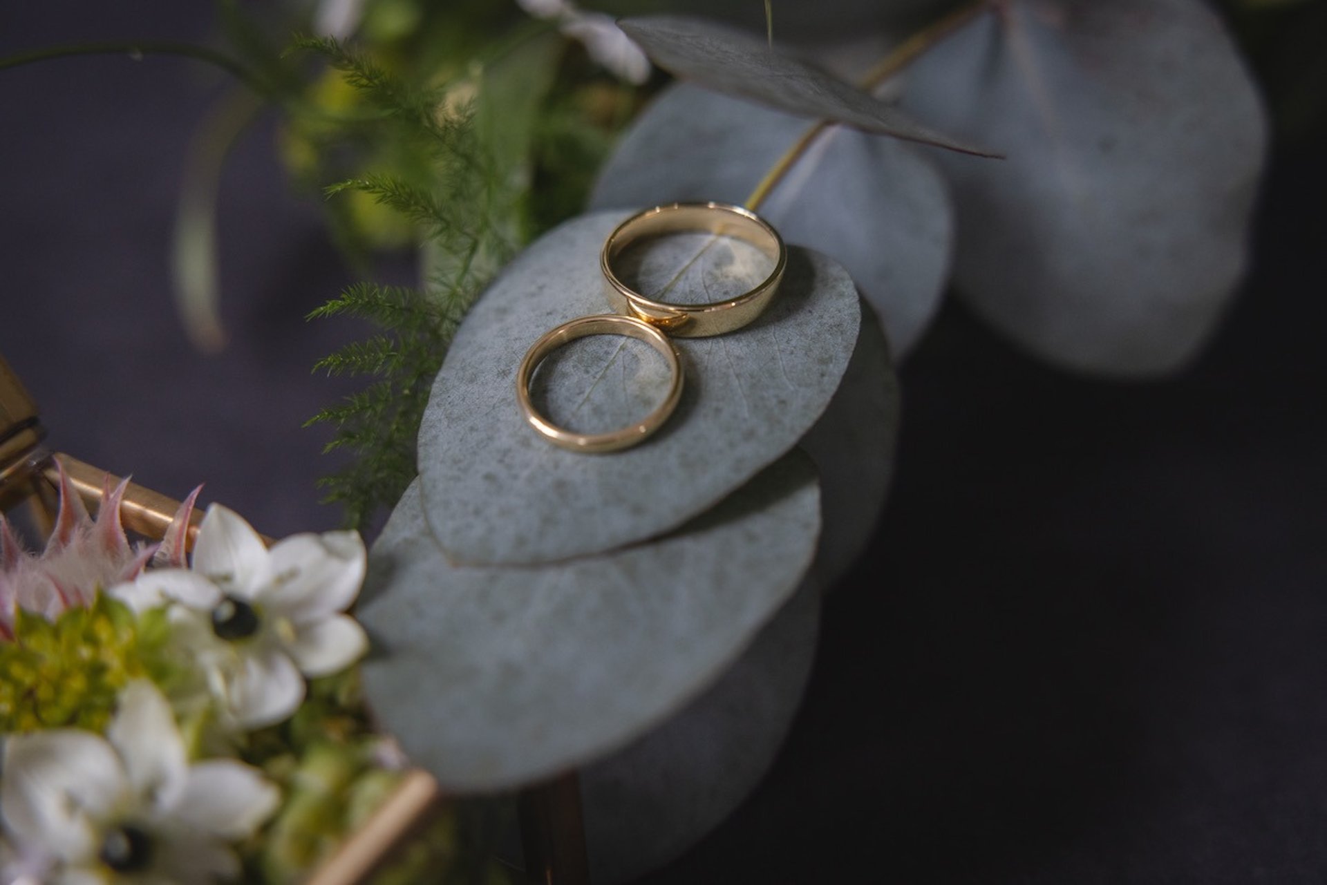 an abstract photo of a curved building with a blue sky in the background