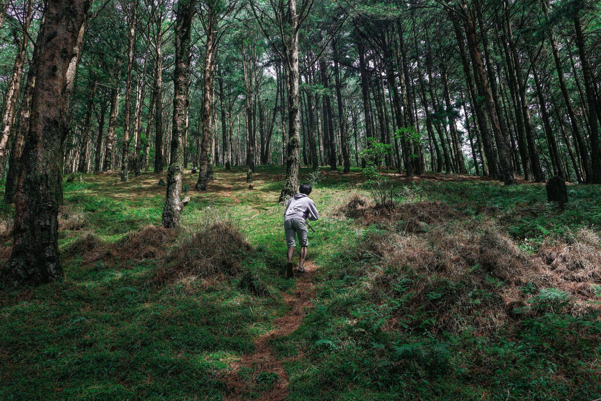 mountain range under blue sky