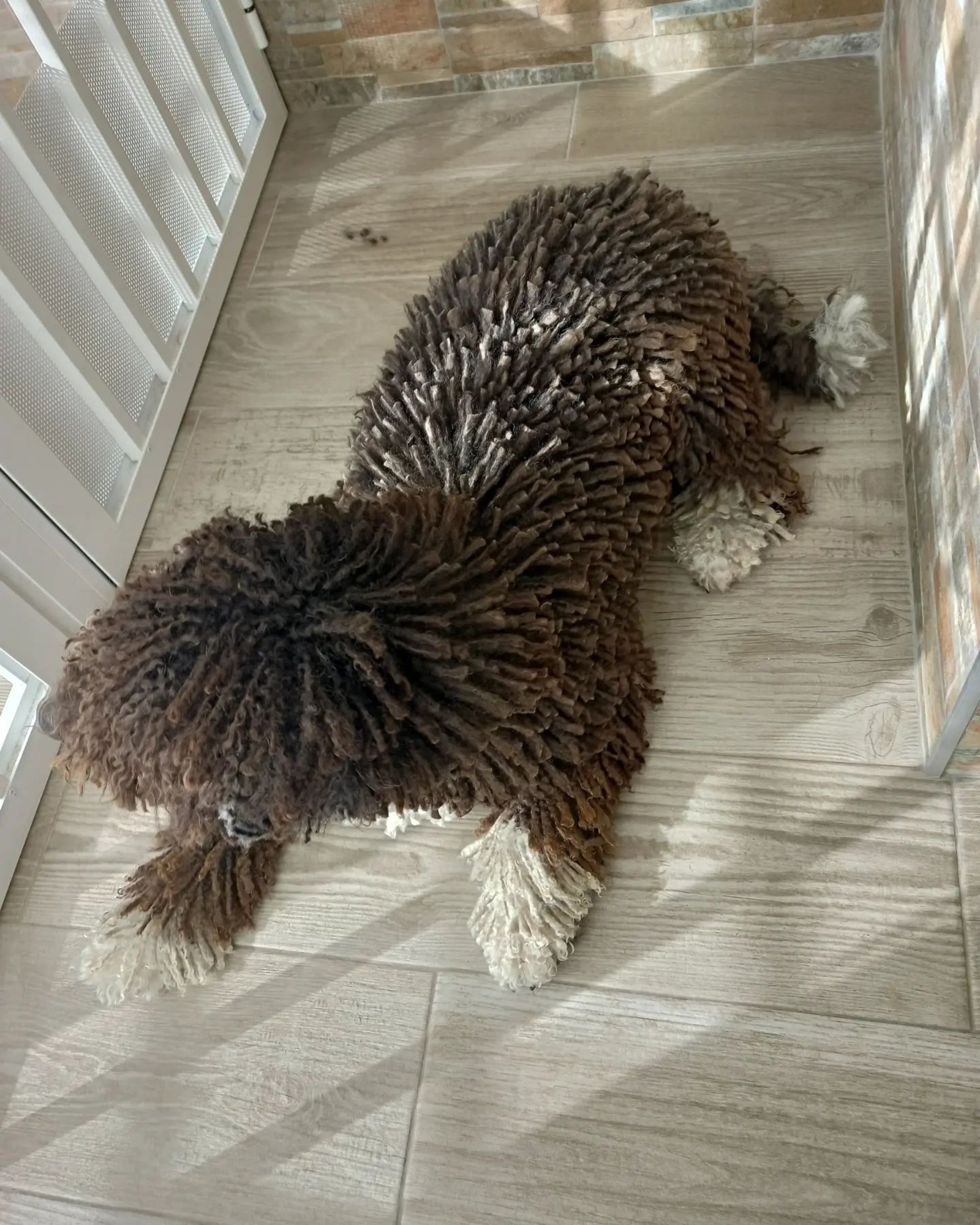 woman wearing yellow long-sleeved dress under white clouds and blue sky during daytime