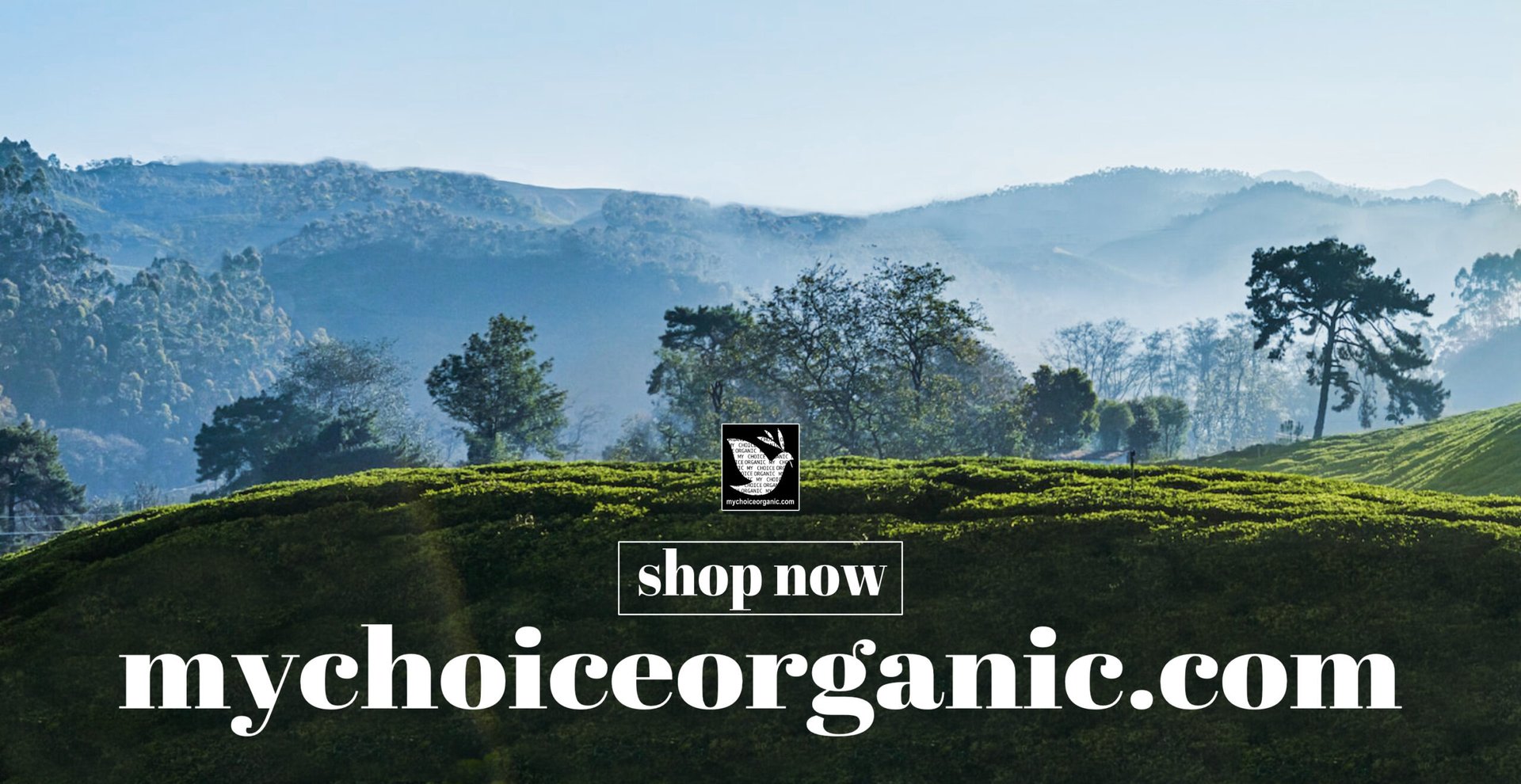 person wearing grey knit sweater