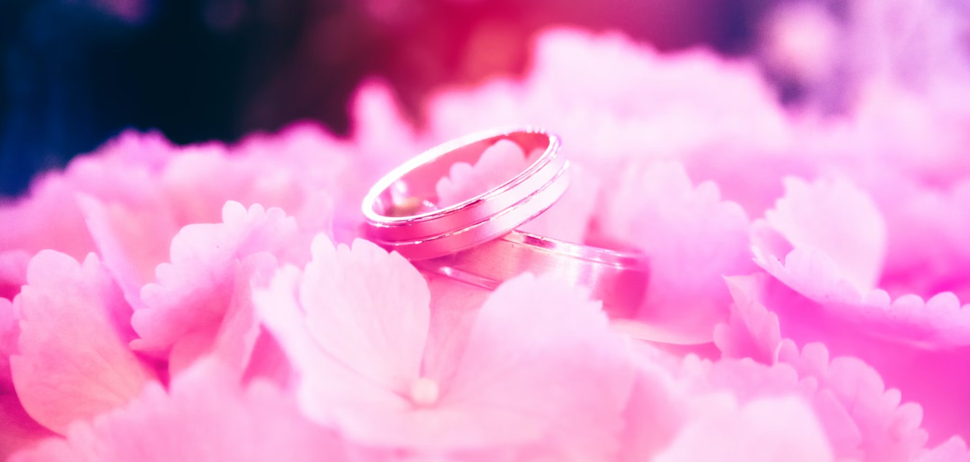 couple wearing silver-colored rings