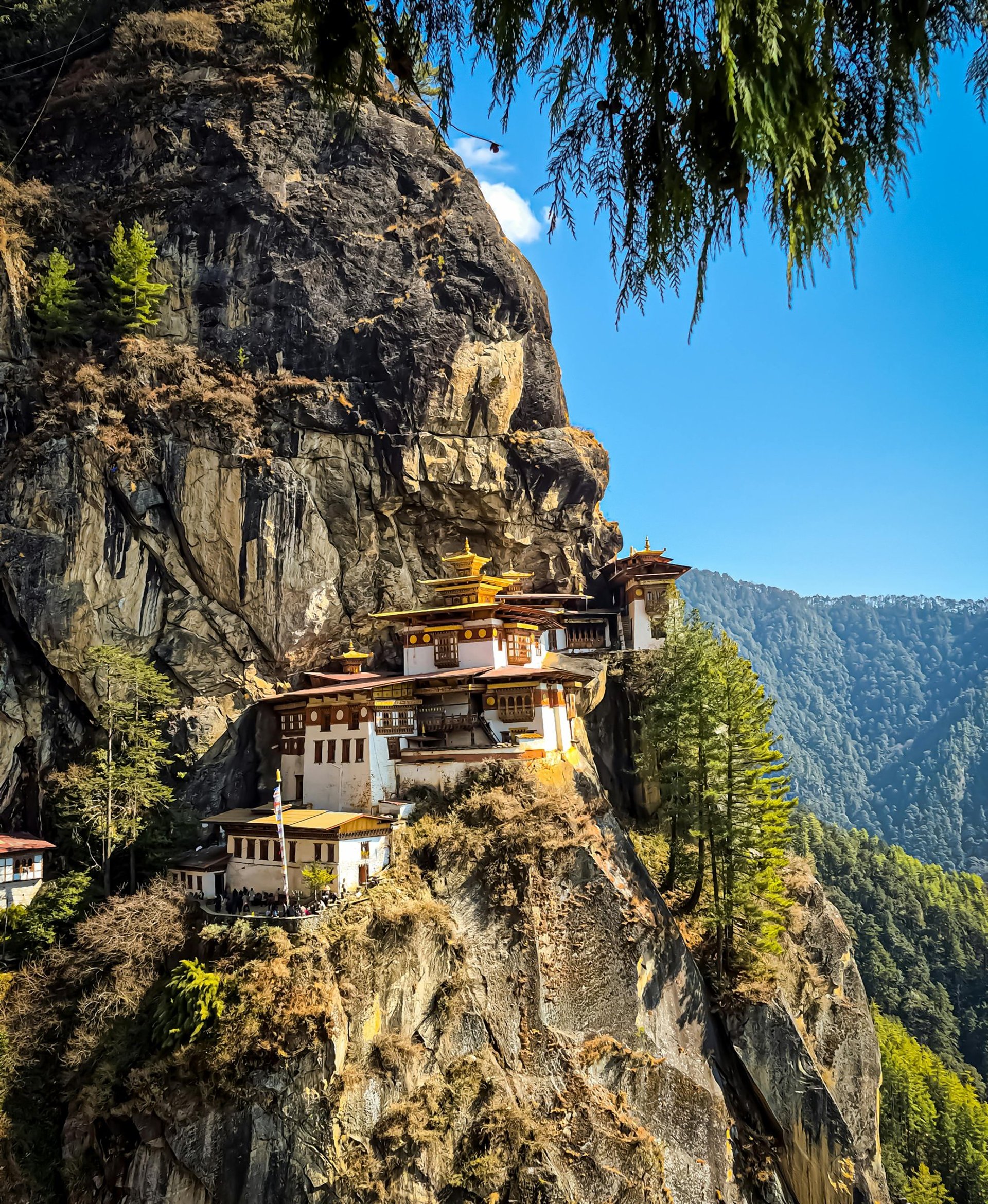Delight of Bhutan Holidays by Soma Journeys