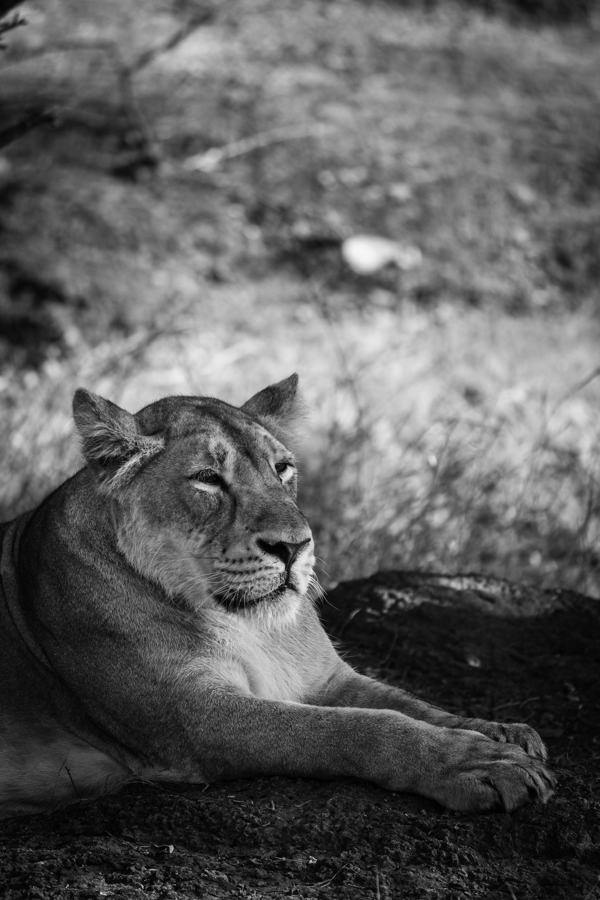 Explore Gujarat with Soma Journeys