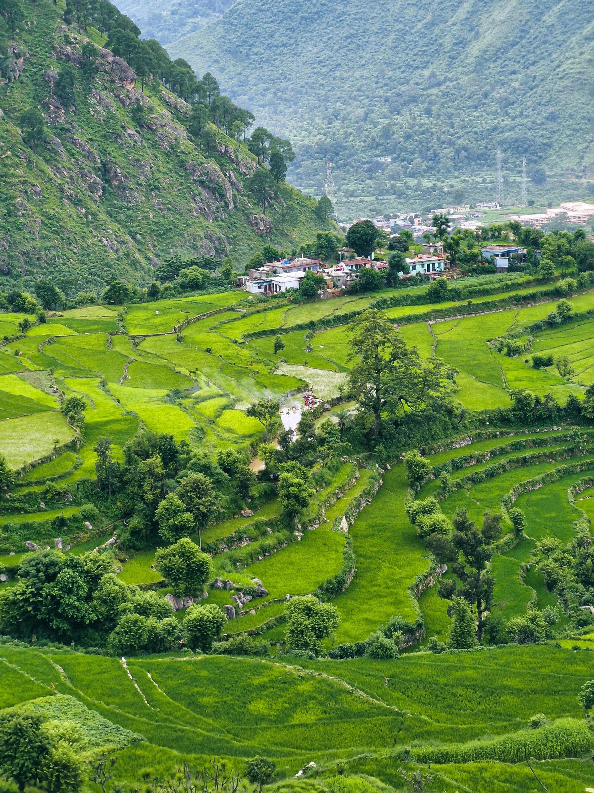 Uttarakhand Holiday Packages by Soma Journeys