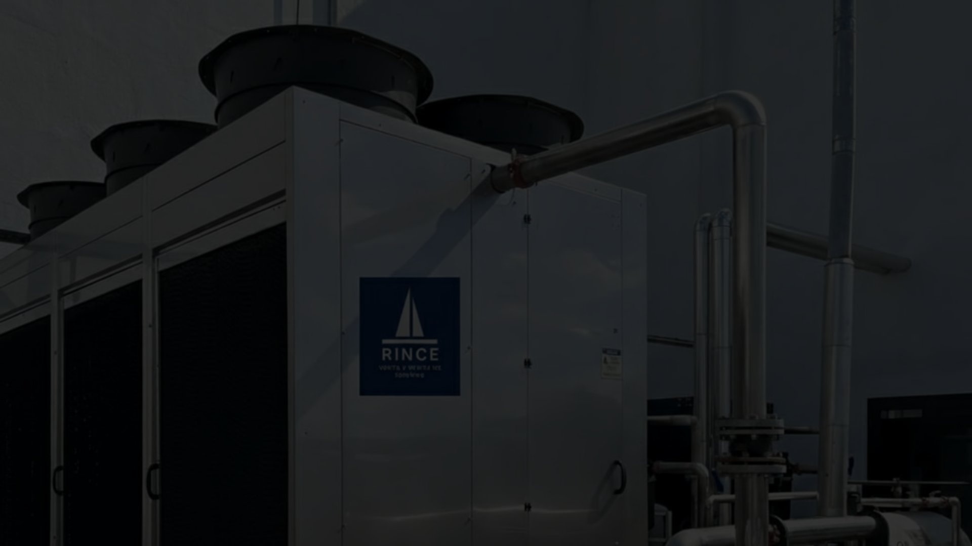 woman holding dried flower