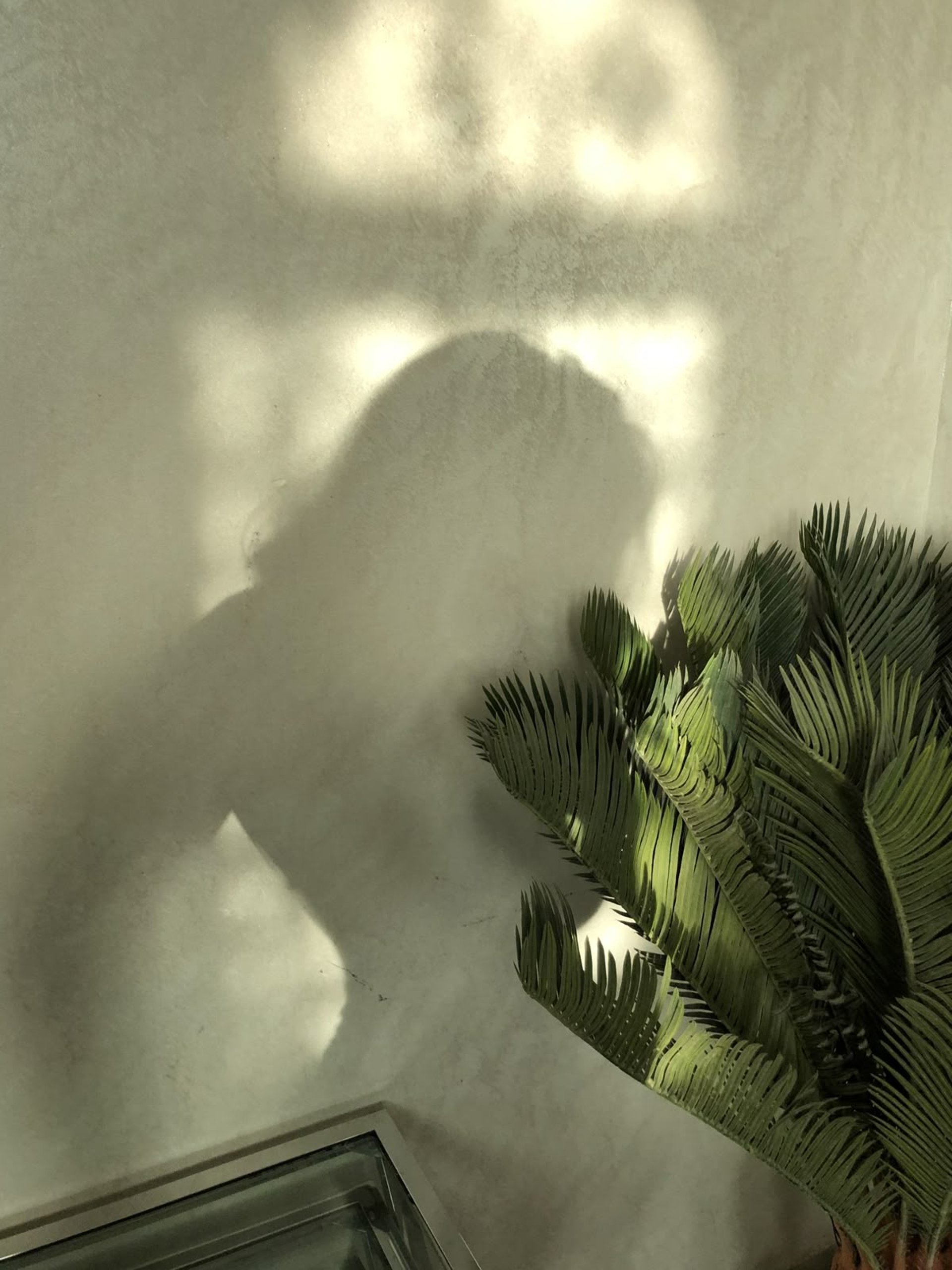 a group of bubbles floating in the air