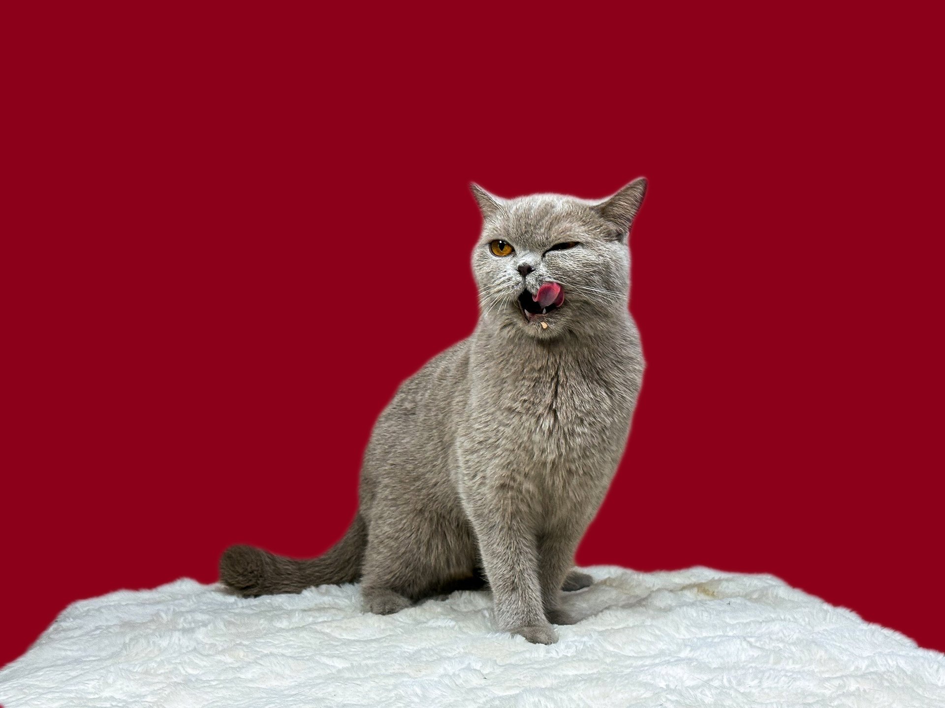 an abstract photo of a curved building with a blue sky in the background