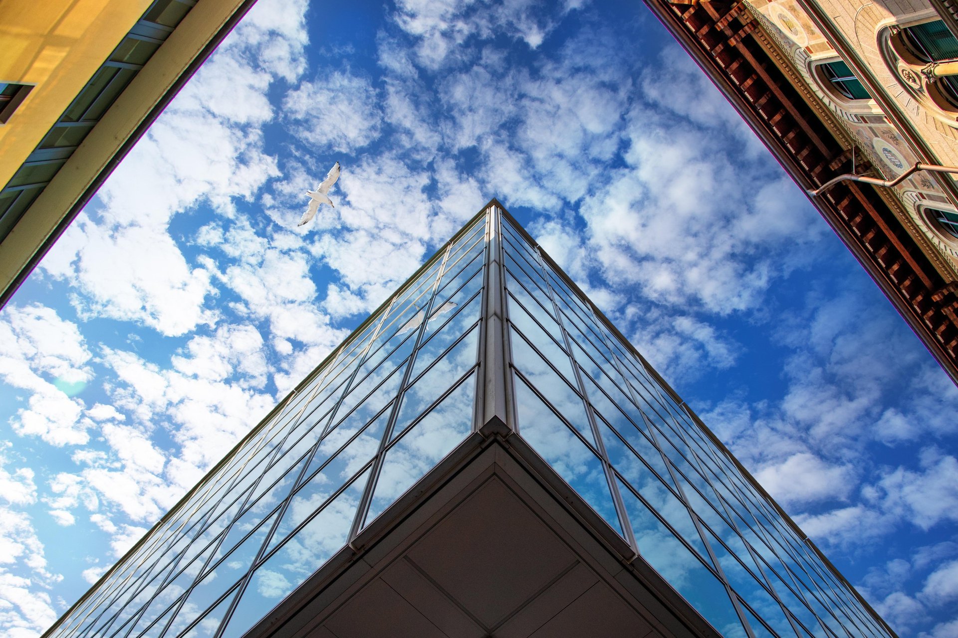 black and brown leather padded tub sofa