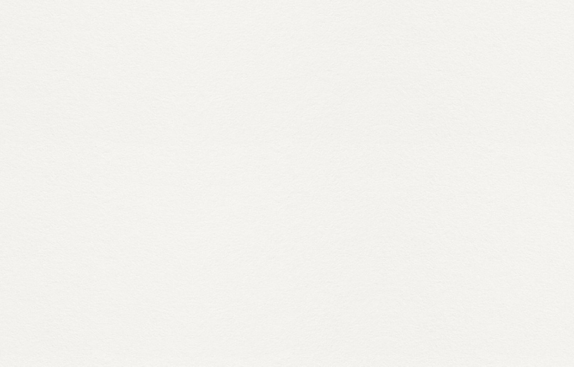 white and yellow flower in close up photography