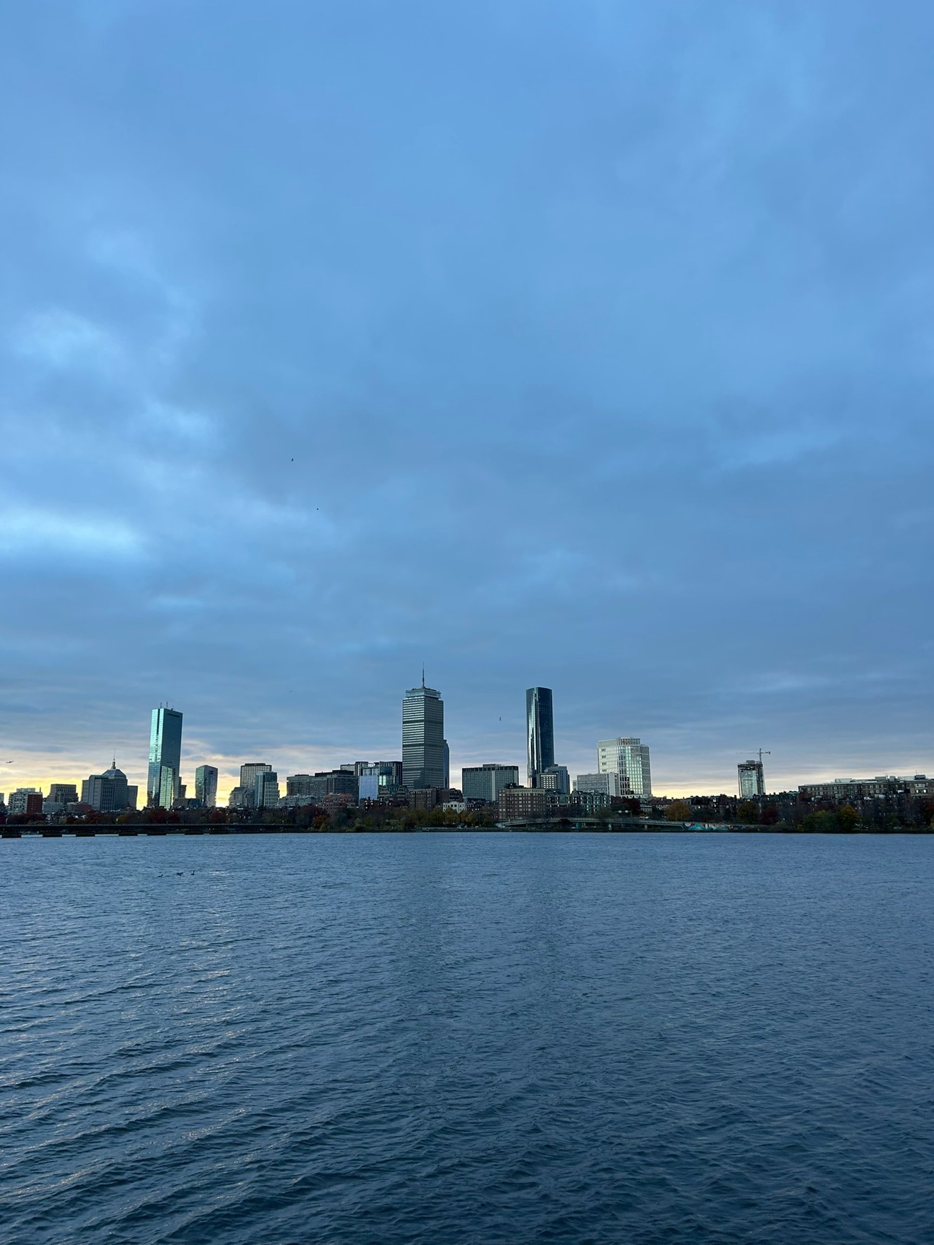 black berries on black surface