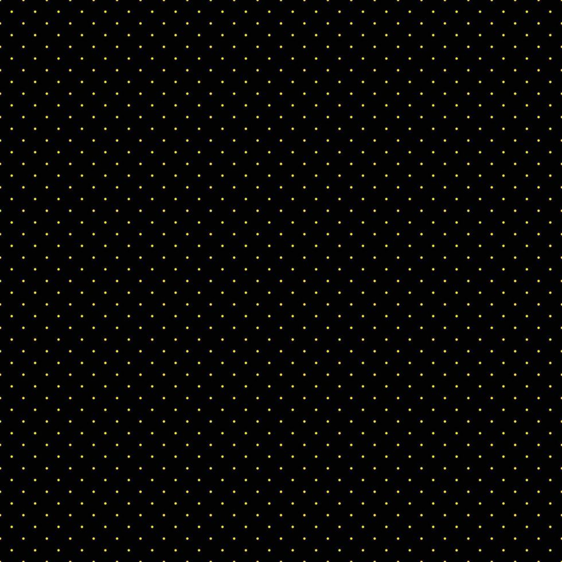 Bright red poppies bloom in the sunlight.