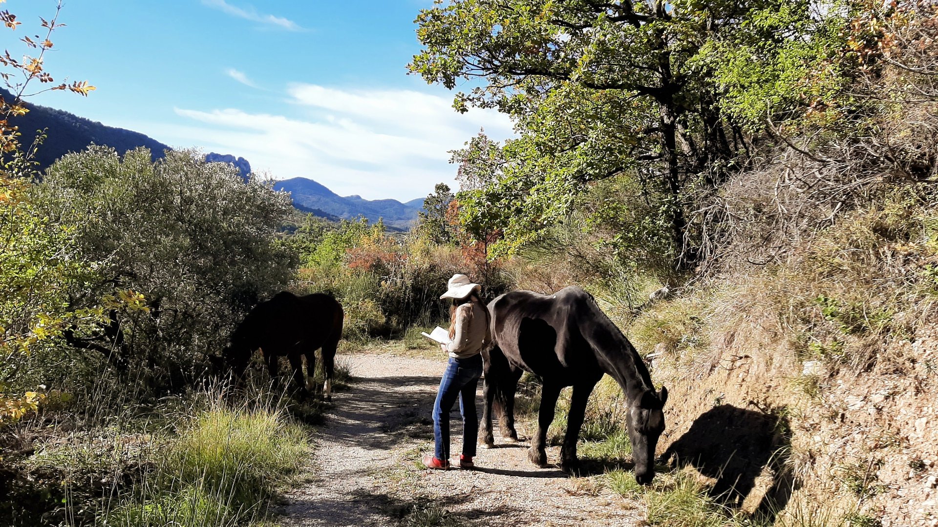 woman wearing yellow long-sleeved dress under white clouds and blue sky during daytime