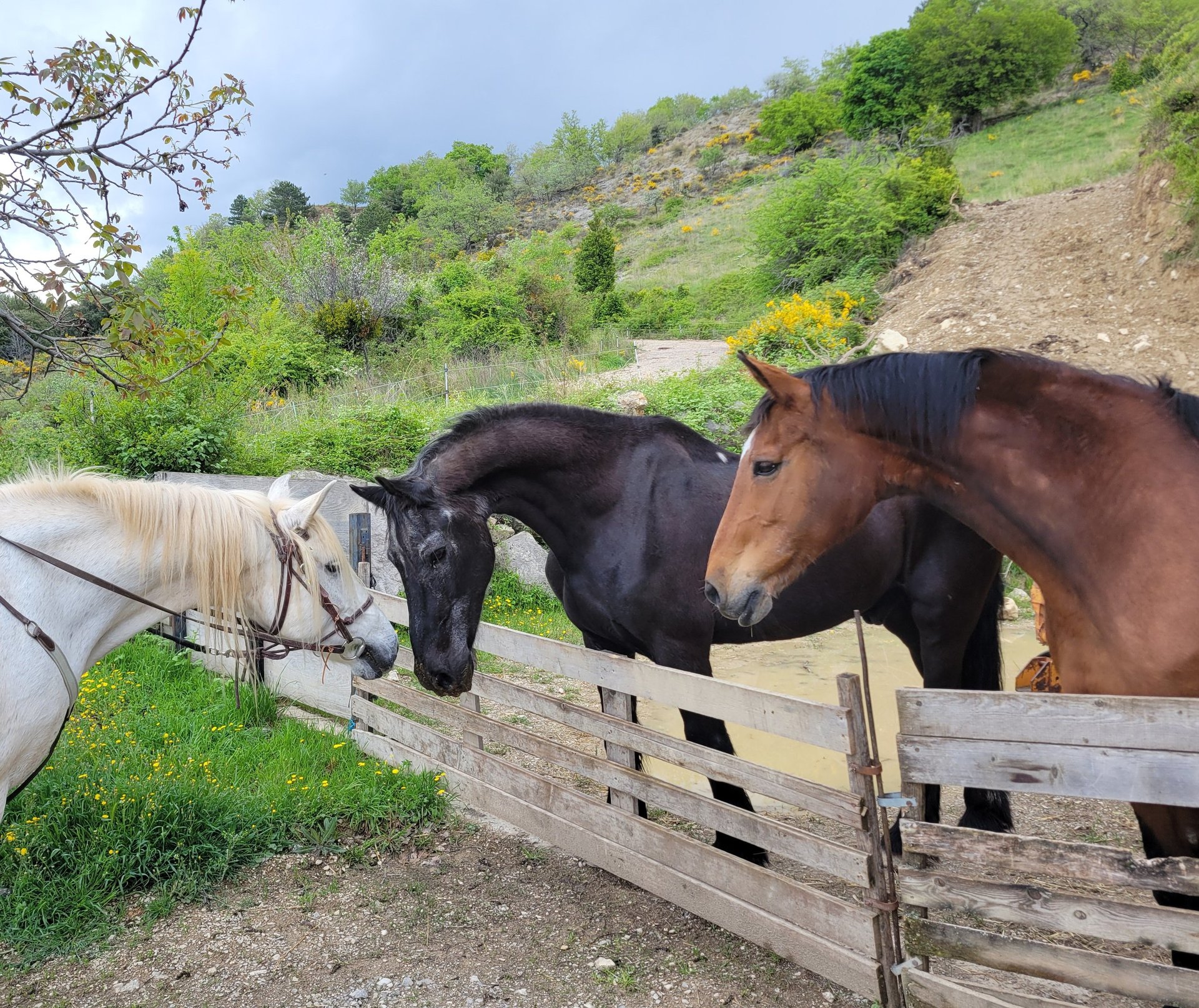 an abstract photo of a curved building with a blue sky in the background