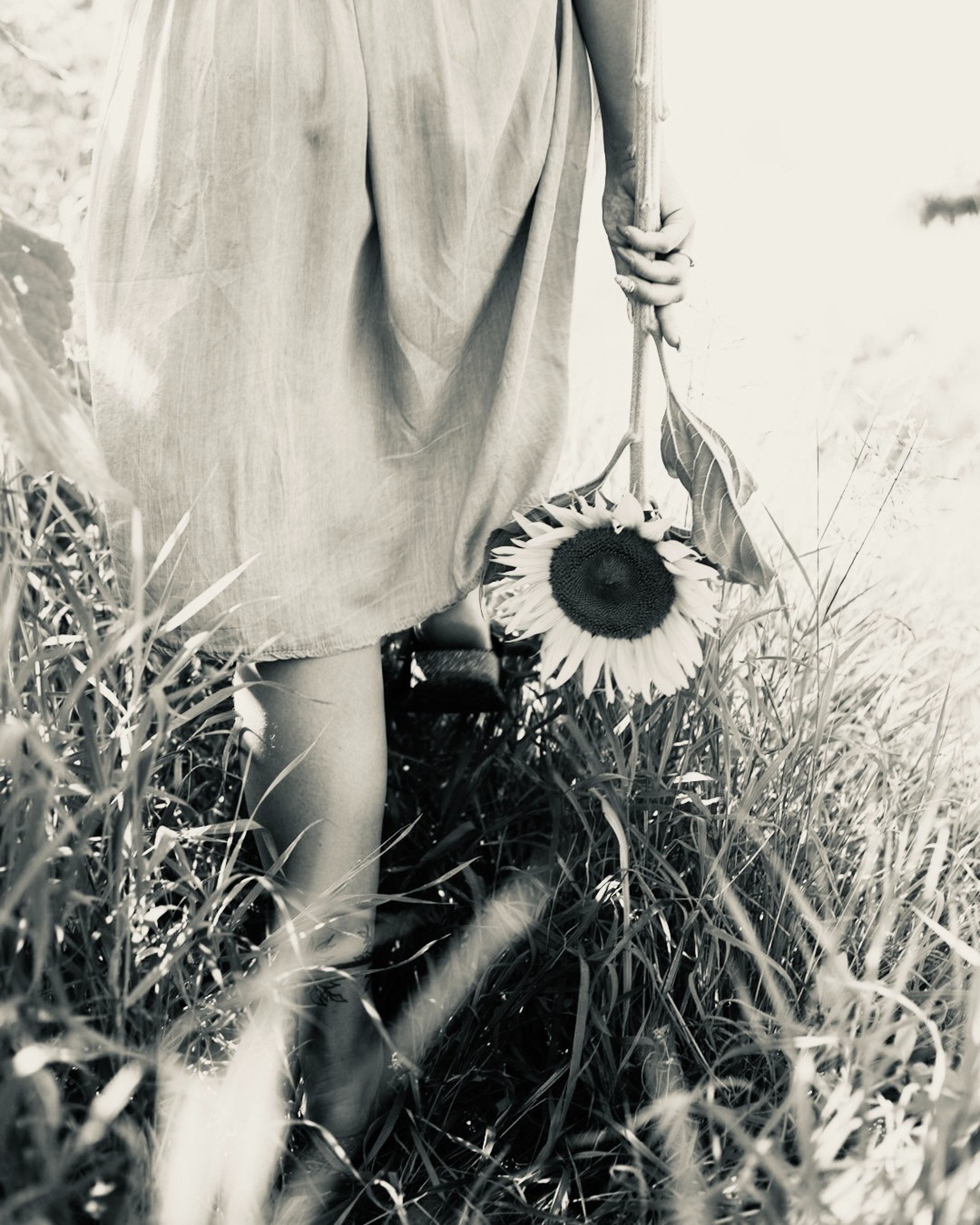 a woman holding a sunflower