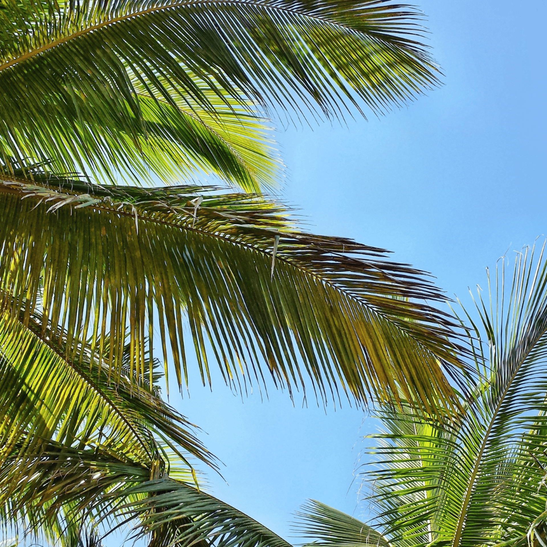 an abstract photo of a curved building with a blue sky in the background
