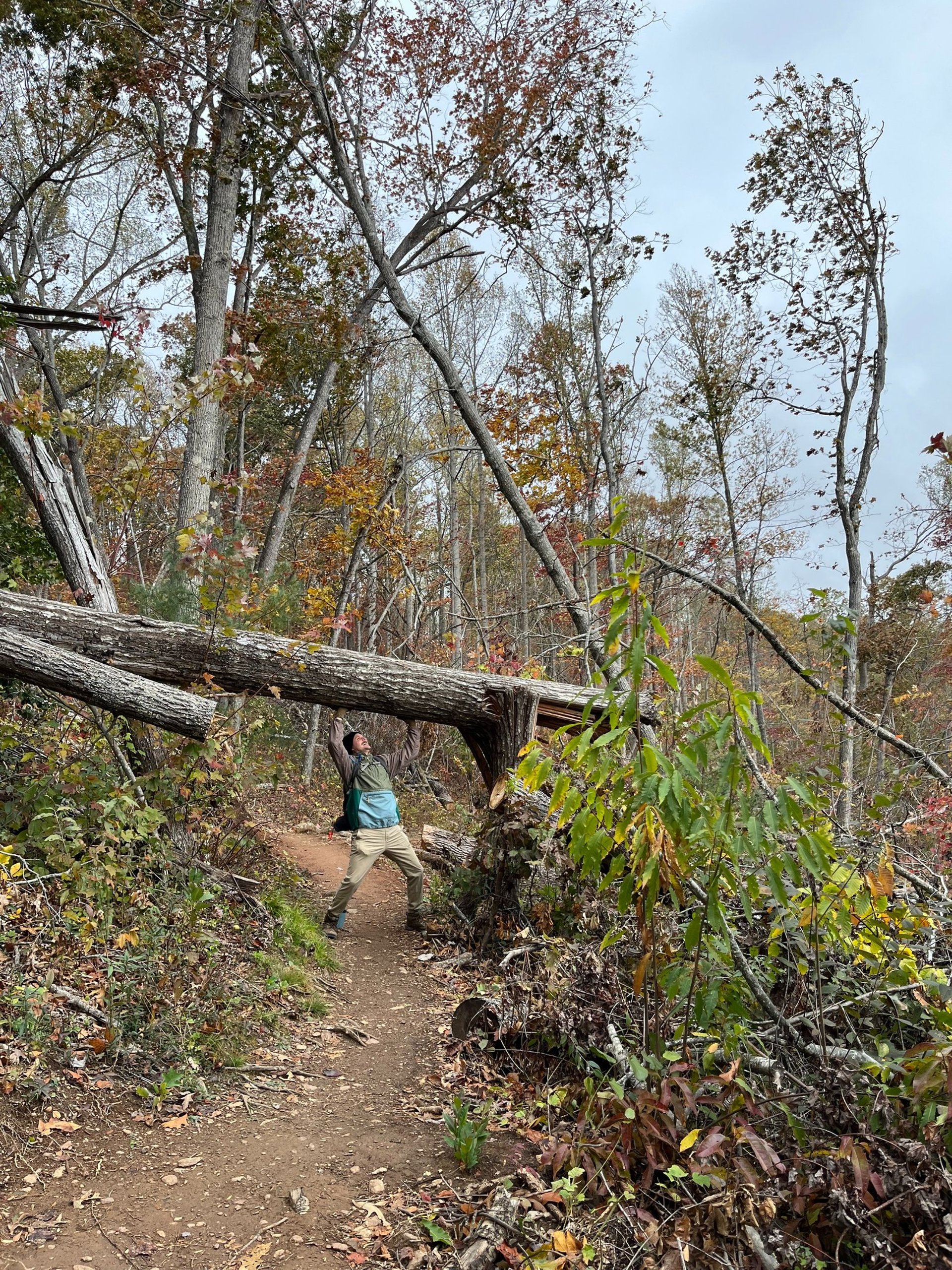 a close up of a black and brown abstract painting