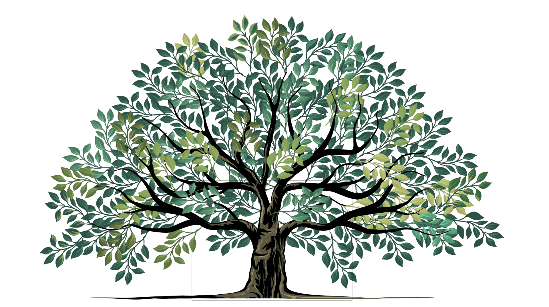 woman holding dried flower