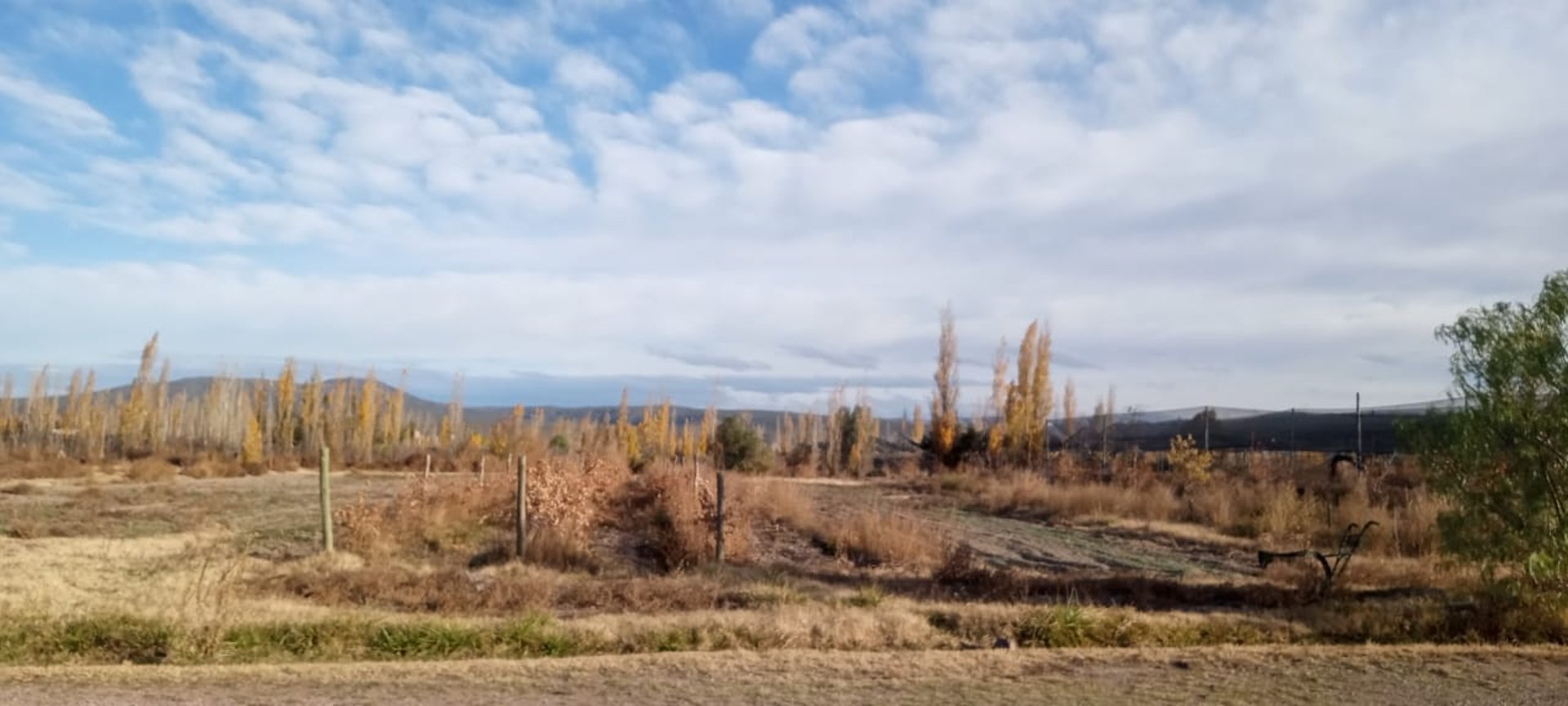 woman wearing yellow long-sleeved dress under white clouds and blue sky during daytime