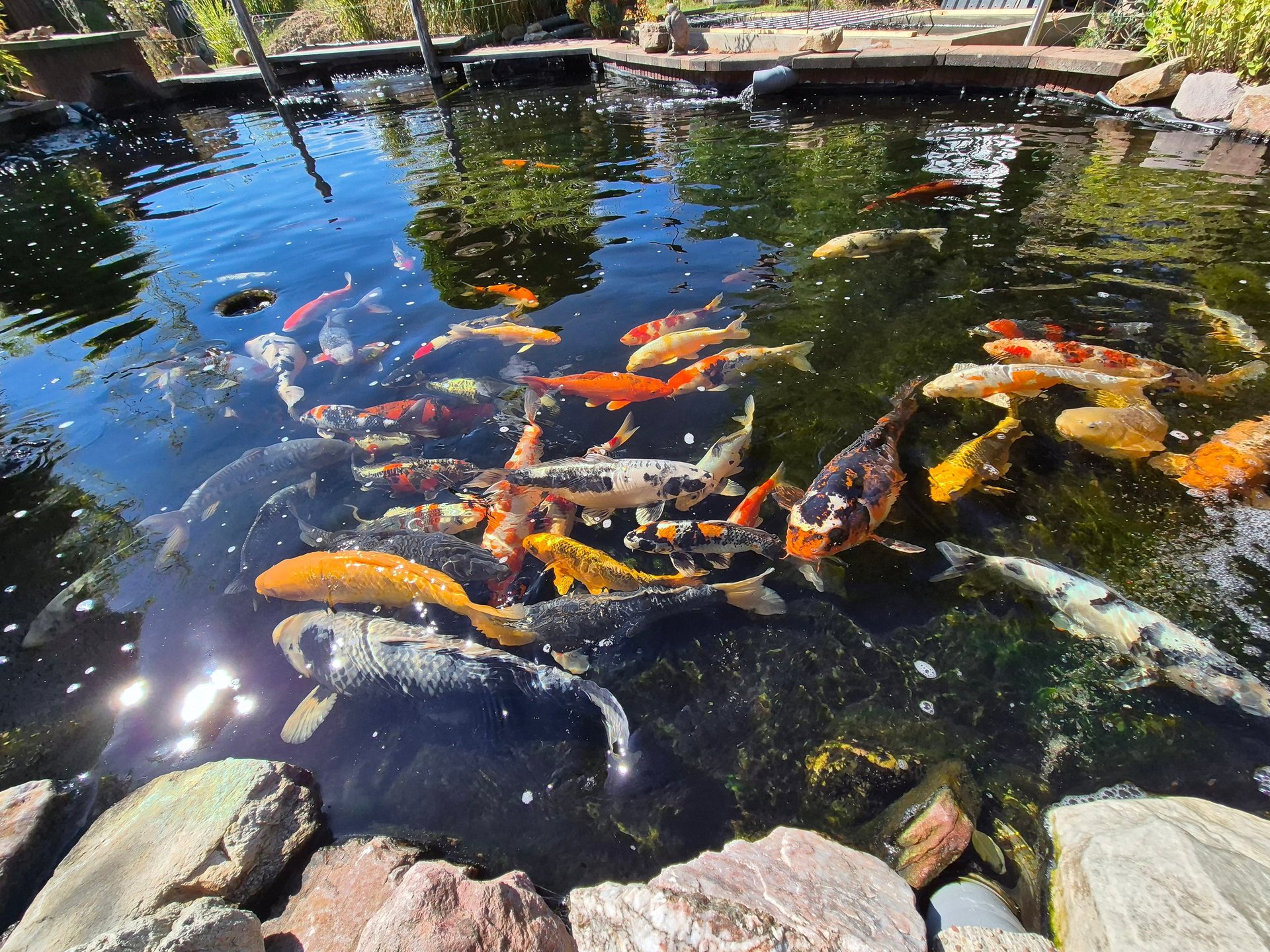 person wearing grey knit sweater