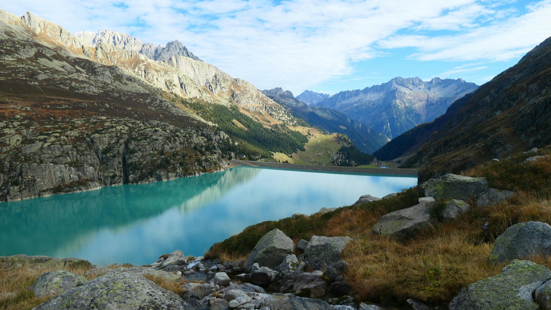 person wearing grey knit sweater