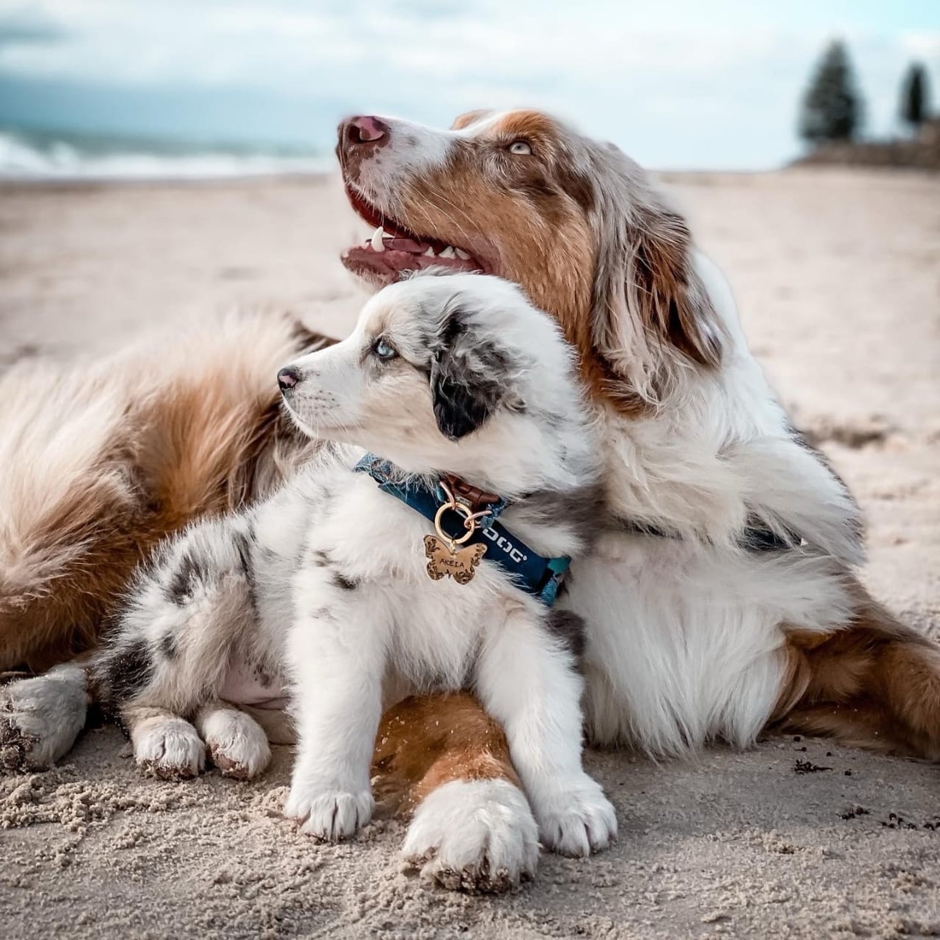 black and white bed linen