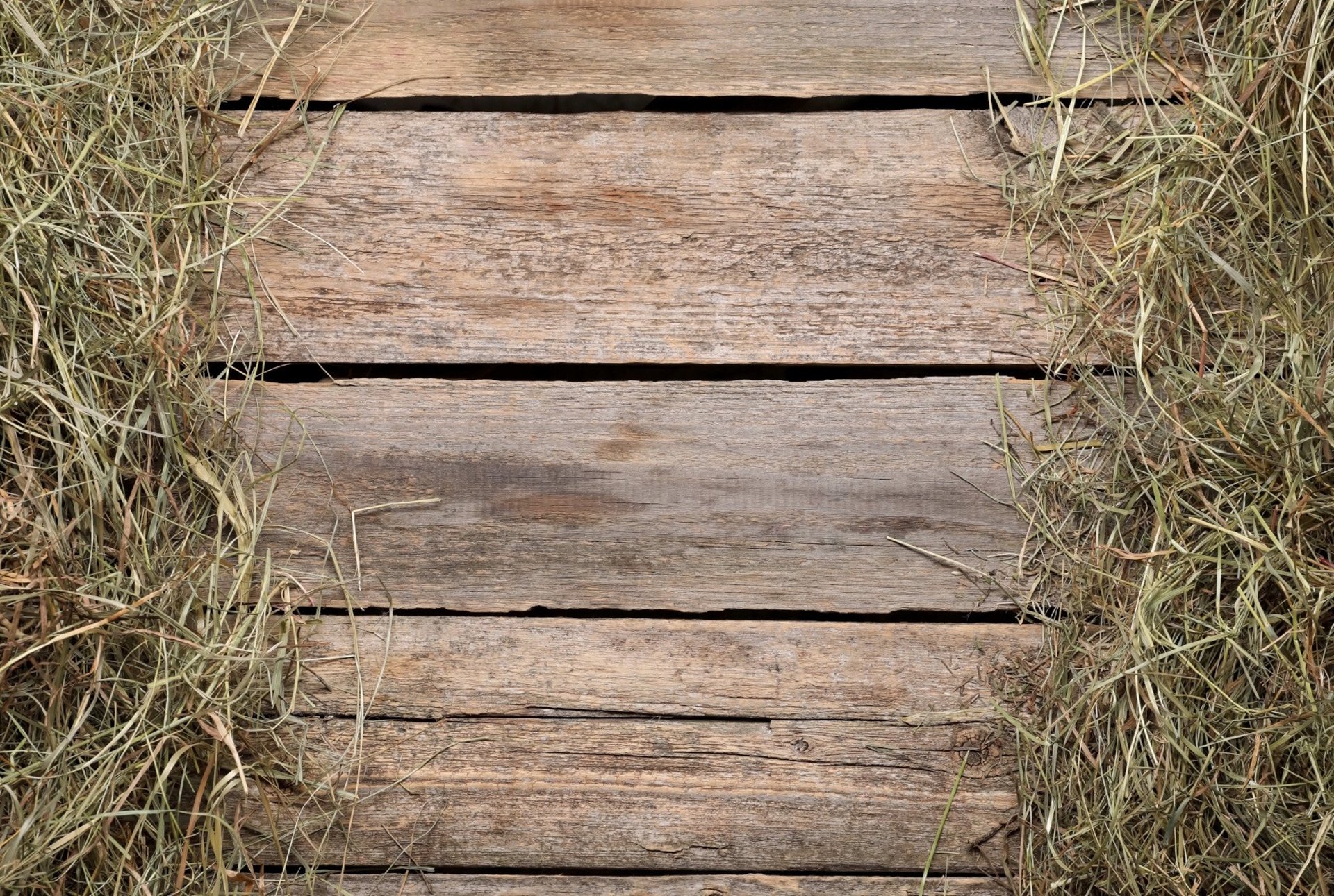 a close up of a black and brown abstract painting