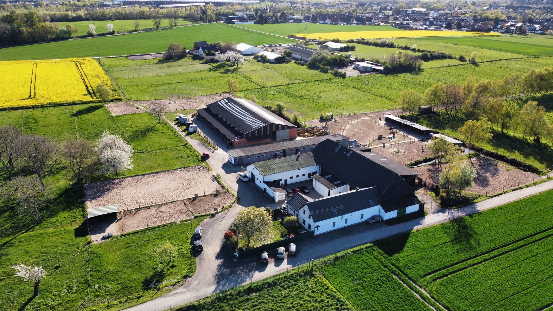 black and brown leather padded tub sofa