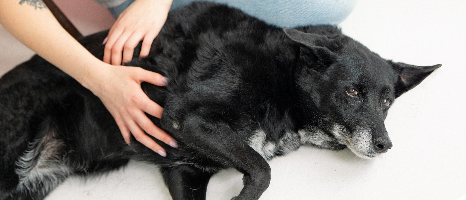 black blue and yellow textile