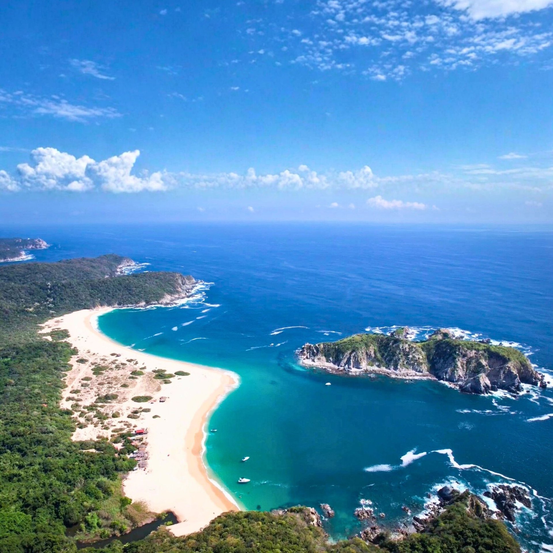 black and white bed linen