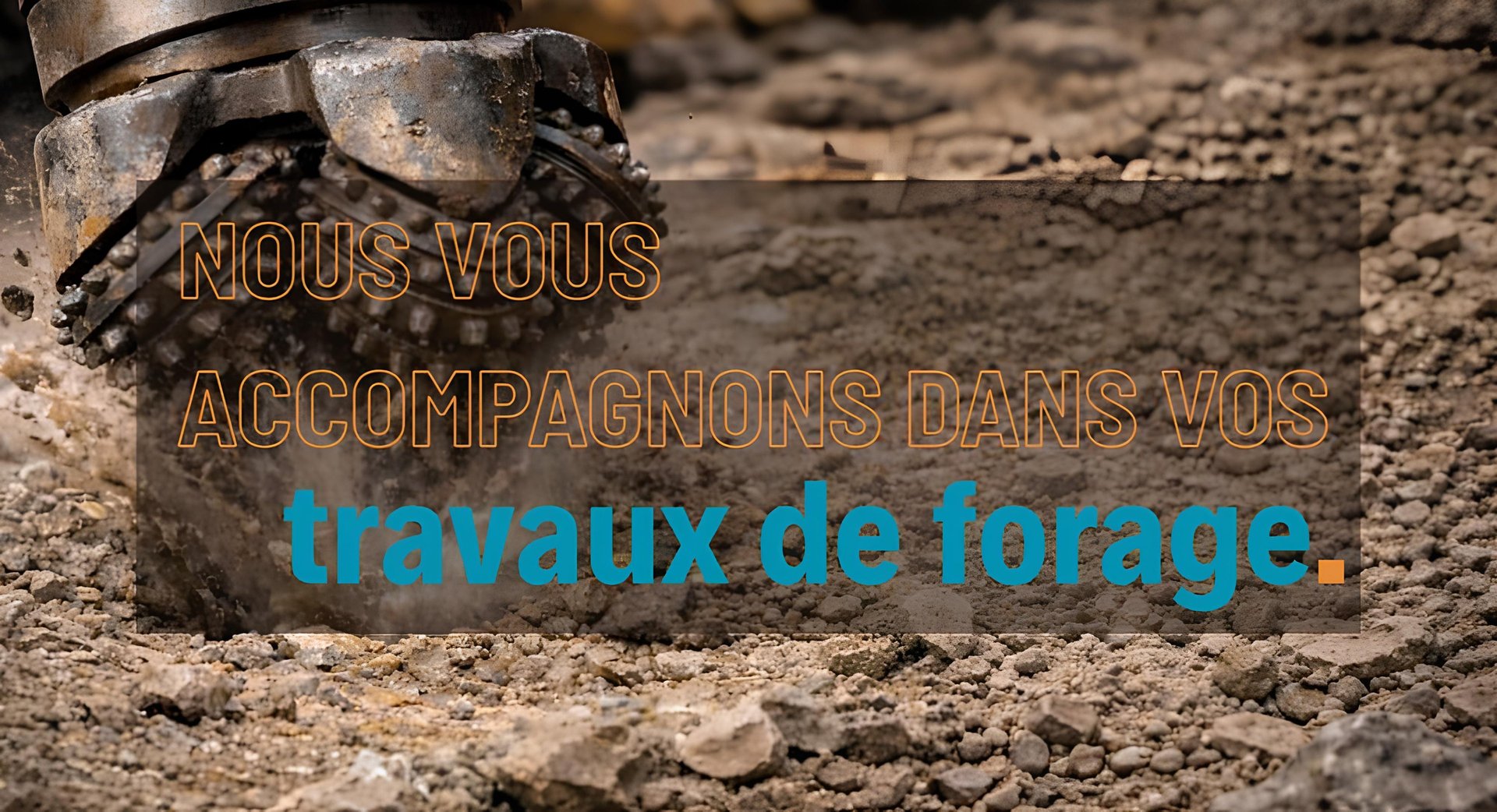 brown and black snake on brown sand