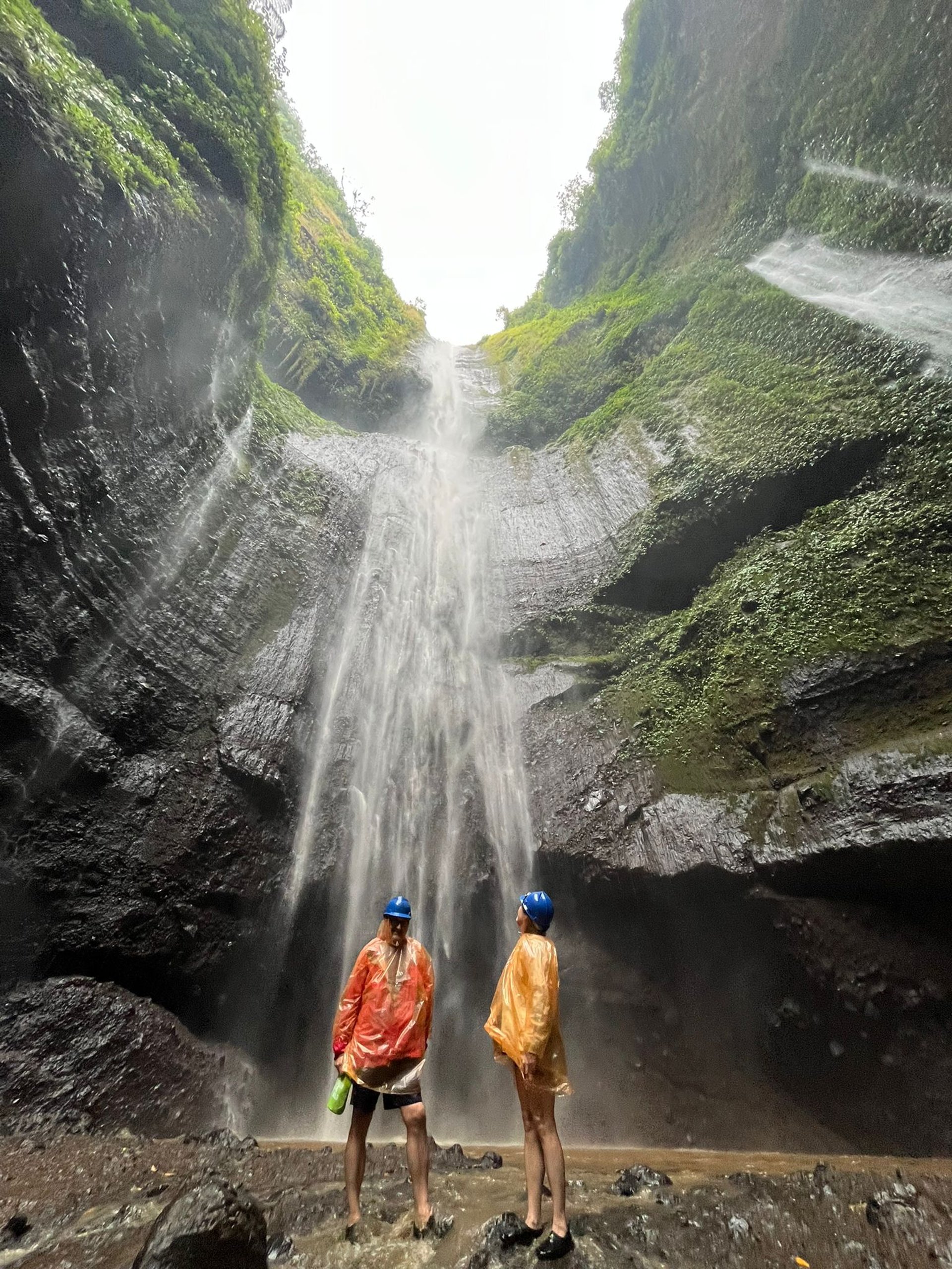 leafless tree on lake at daytime