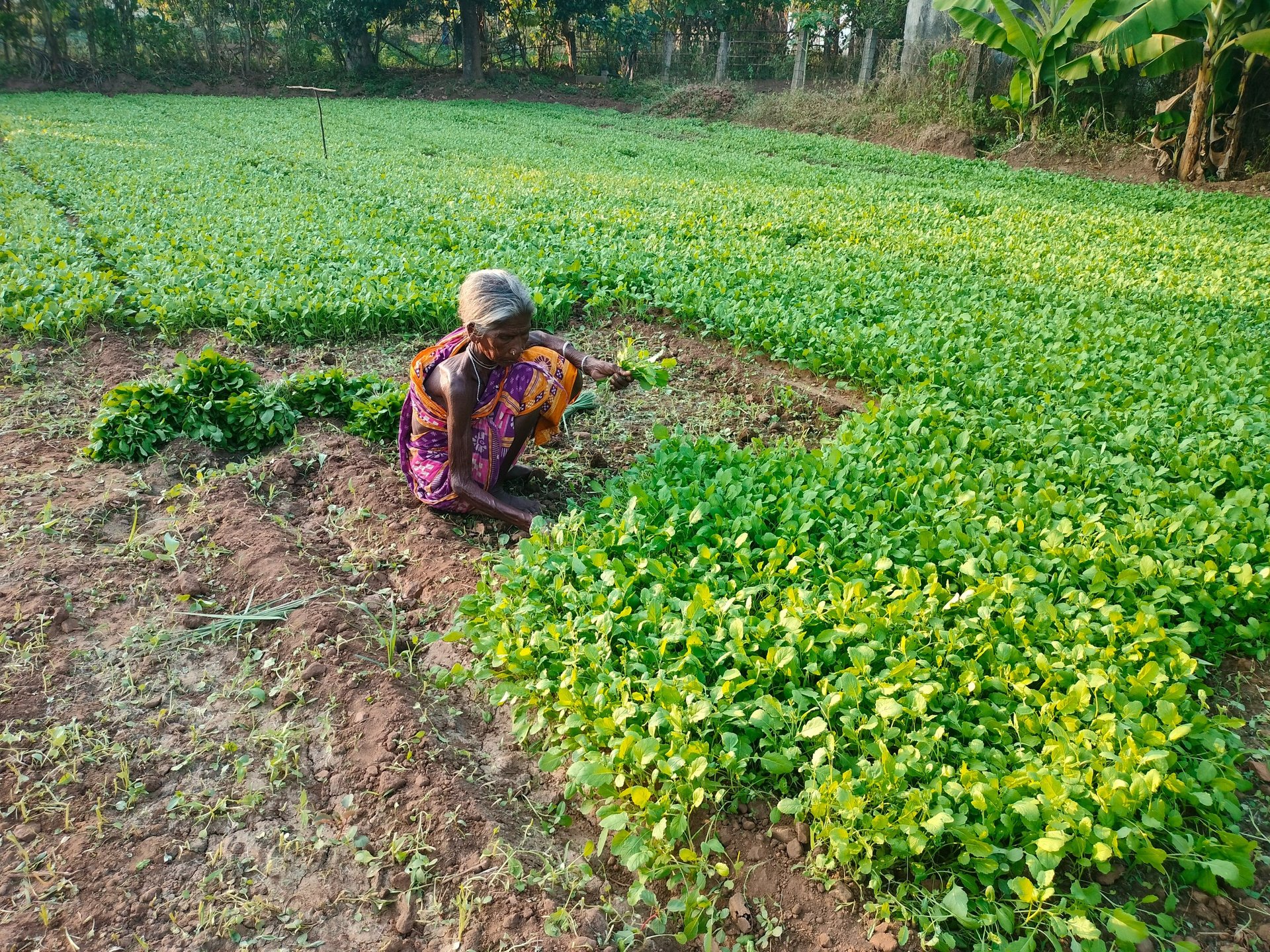 gray computer monitor