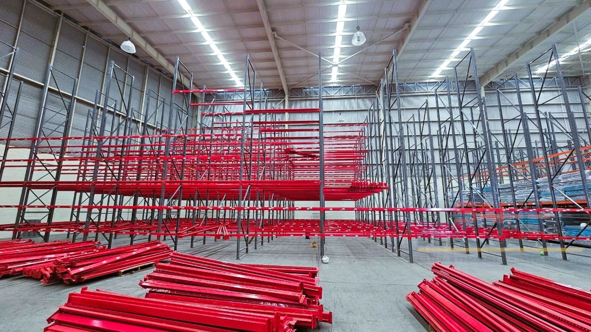 worms eye view of forest during day time