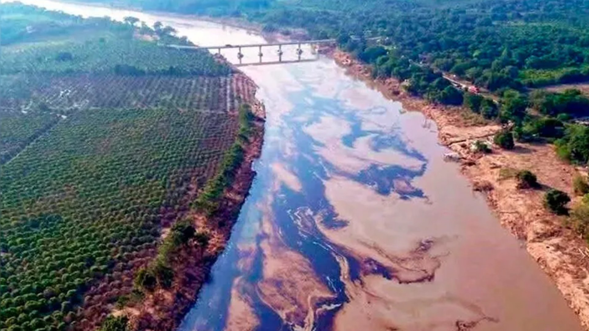 an abstract photo of a curved building with a blue sky in the background